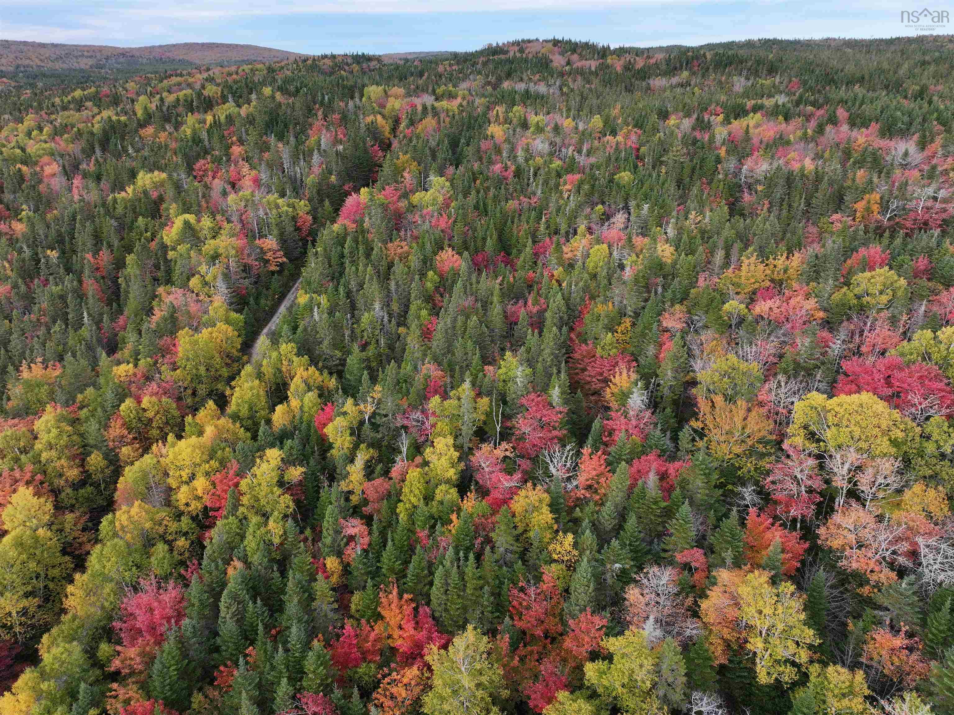 Lot 1 Highway 316, Country Harbour Mines, NS (MLS® 202526021)