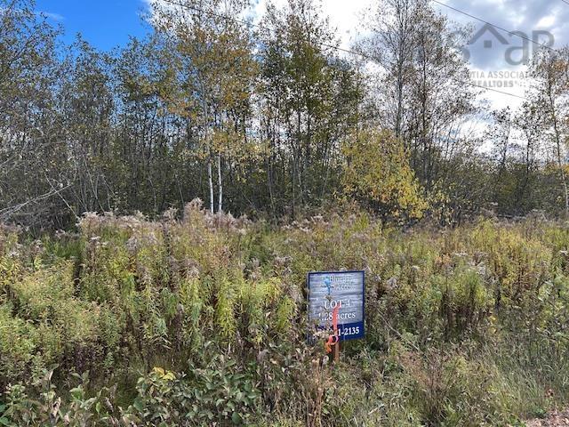Lot 4 Sibley Rd, Middle Musquodoboit, NS (MLS 202526049)