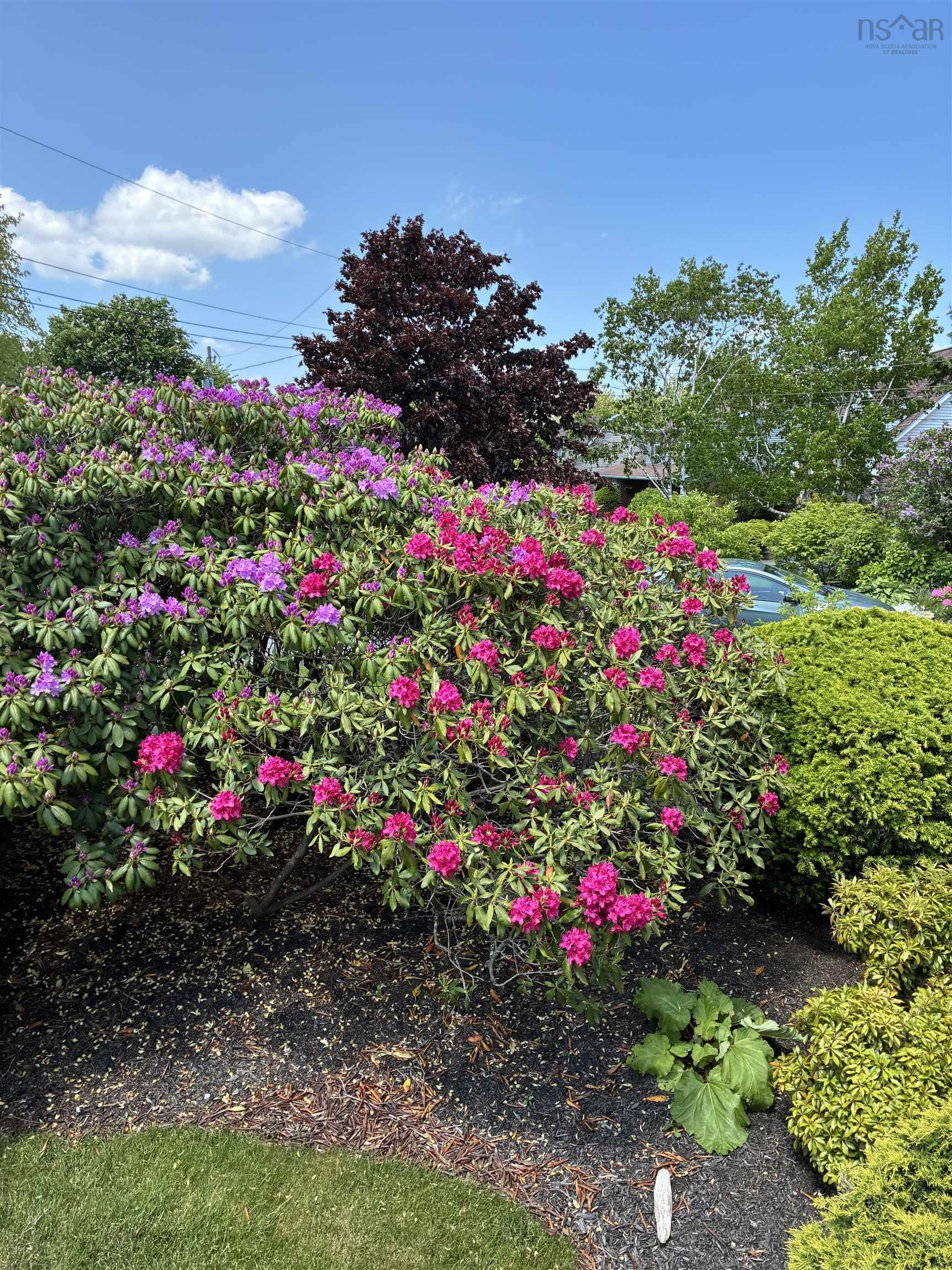 47 Hampton Green, Cole Harbour, NS (MLS 202526392)