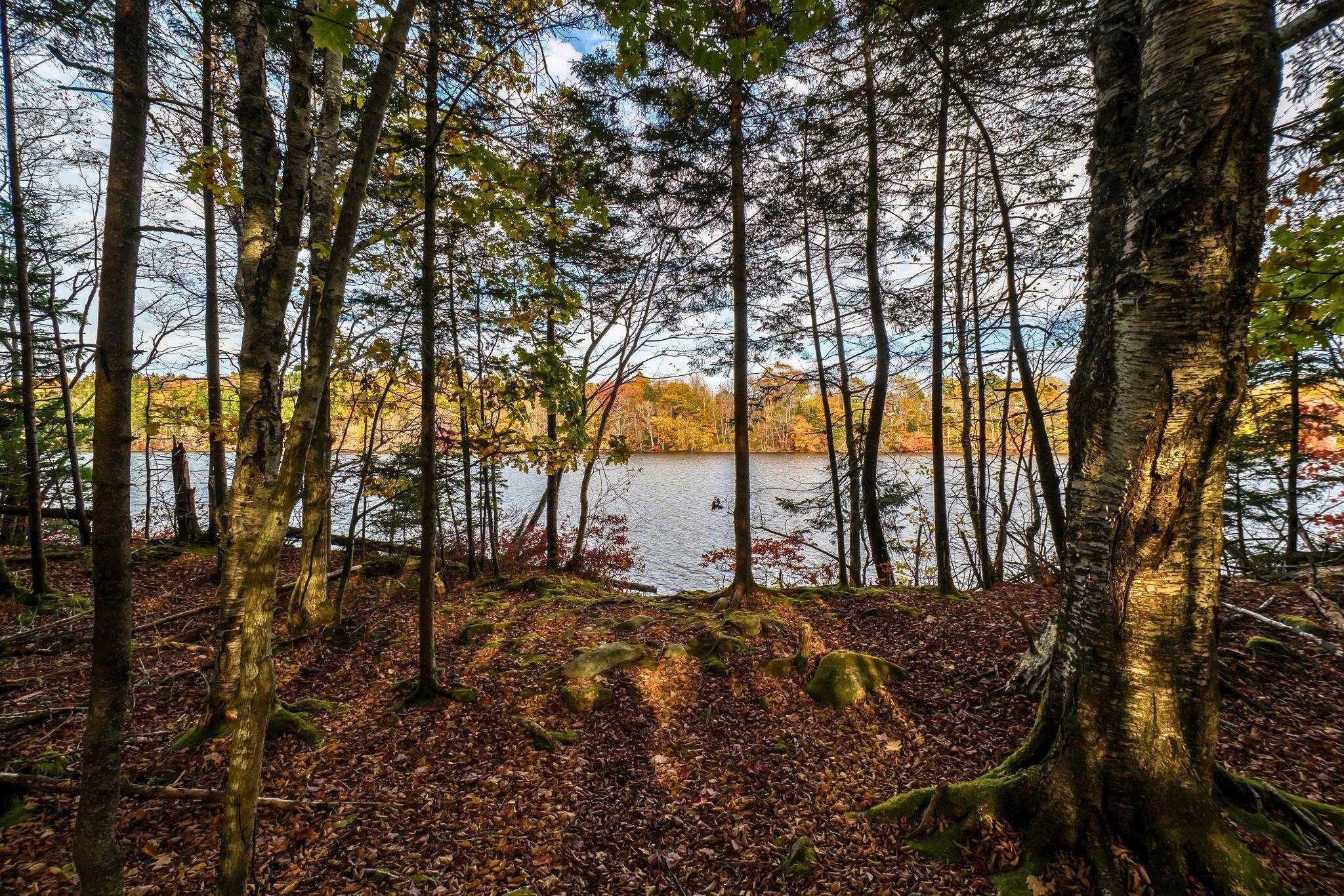 14 Bayswater Road, Dartmouth, NS (MLS 202526483)