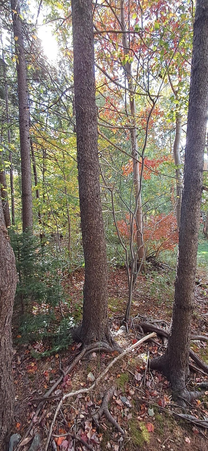 89 Lincoln Cross, Halifax, NS (MLS 202526555)