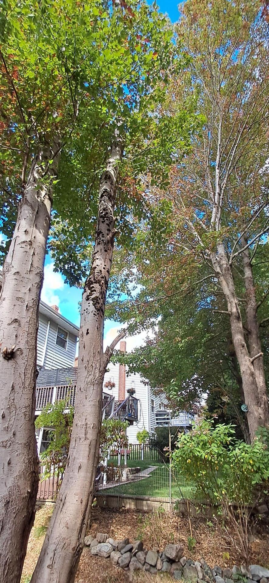 89 Lincoln Cross, Halifax, NS (MLS 202526555)