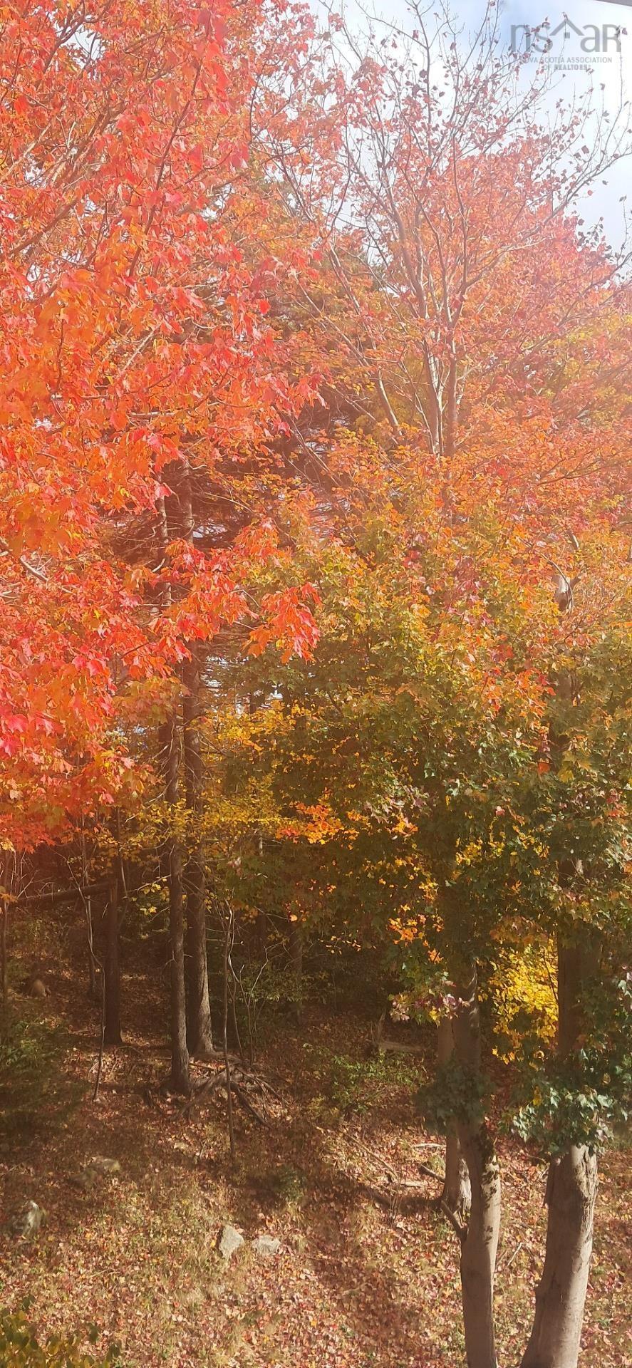 89 Lincoln Cross, Halifax, NS (MLS 202526555)