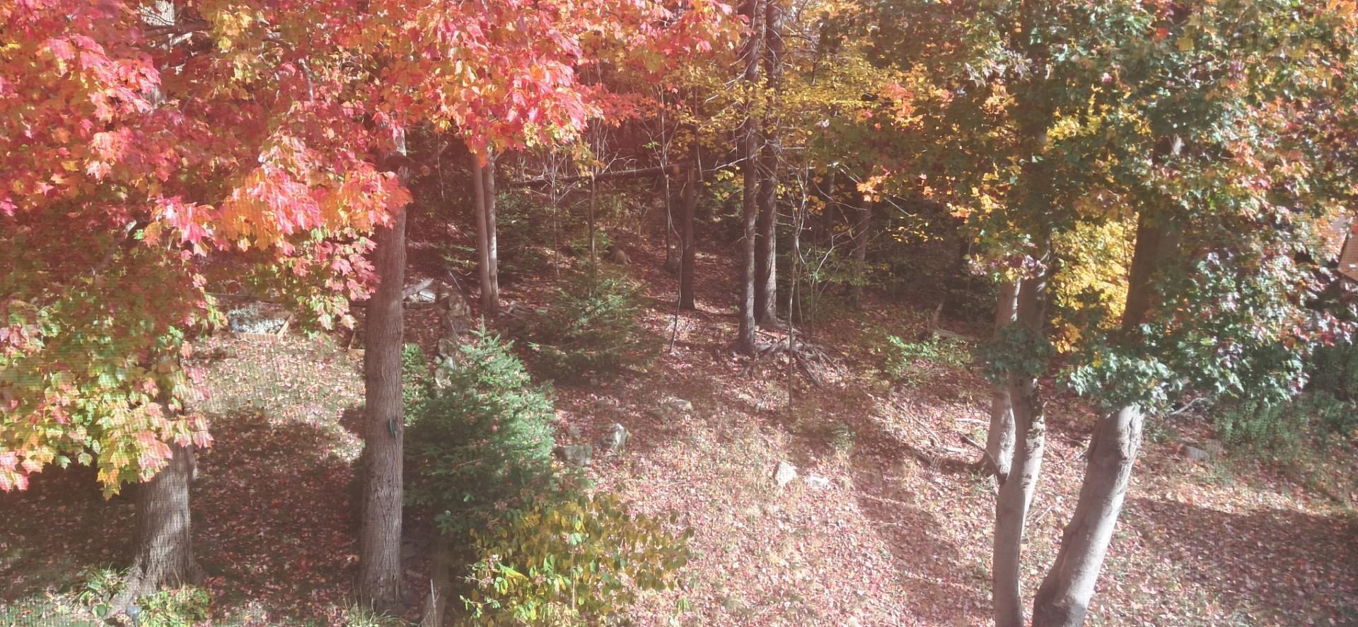 89 Lincoln Cross, Halifax, NS (MLS 202526555)