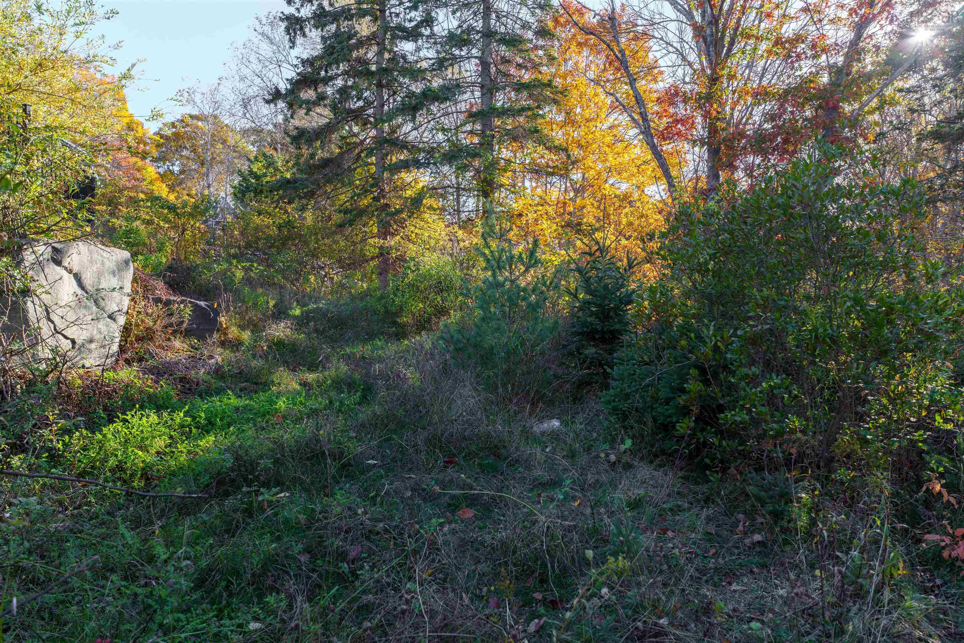 90 Golf Links Road, Bedford, NS (MLS 202526636)