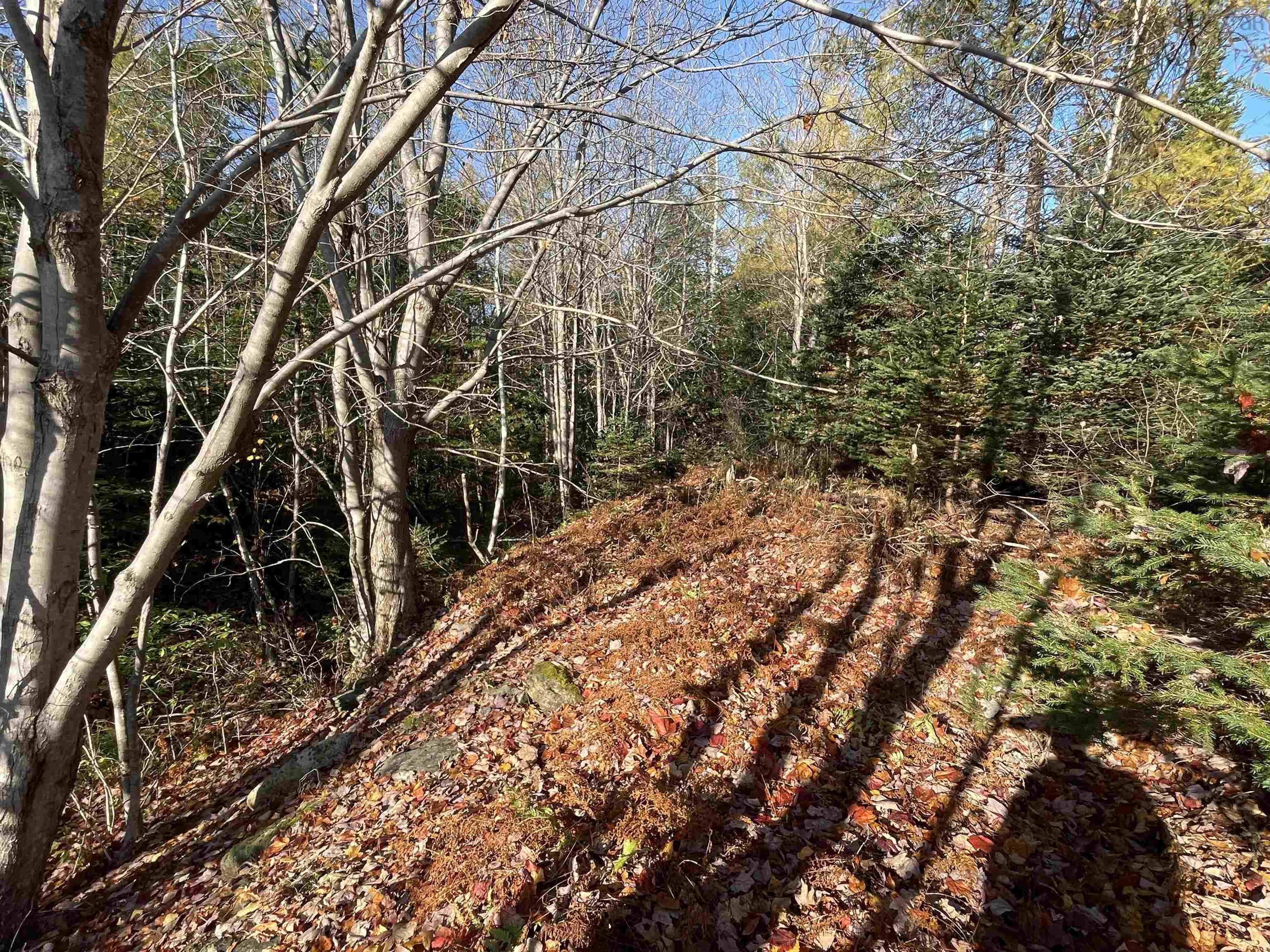 Mosher Road, Conrod Settlement, NS (MLS® 202526638)