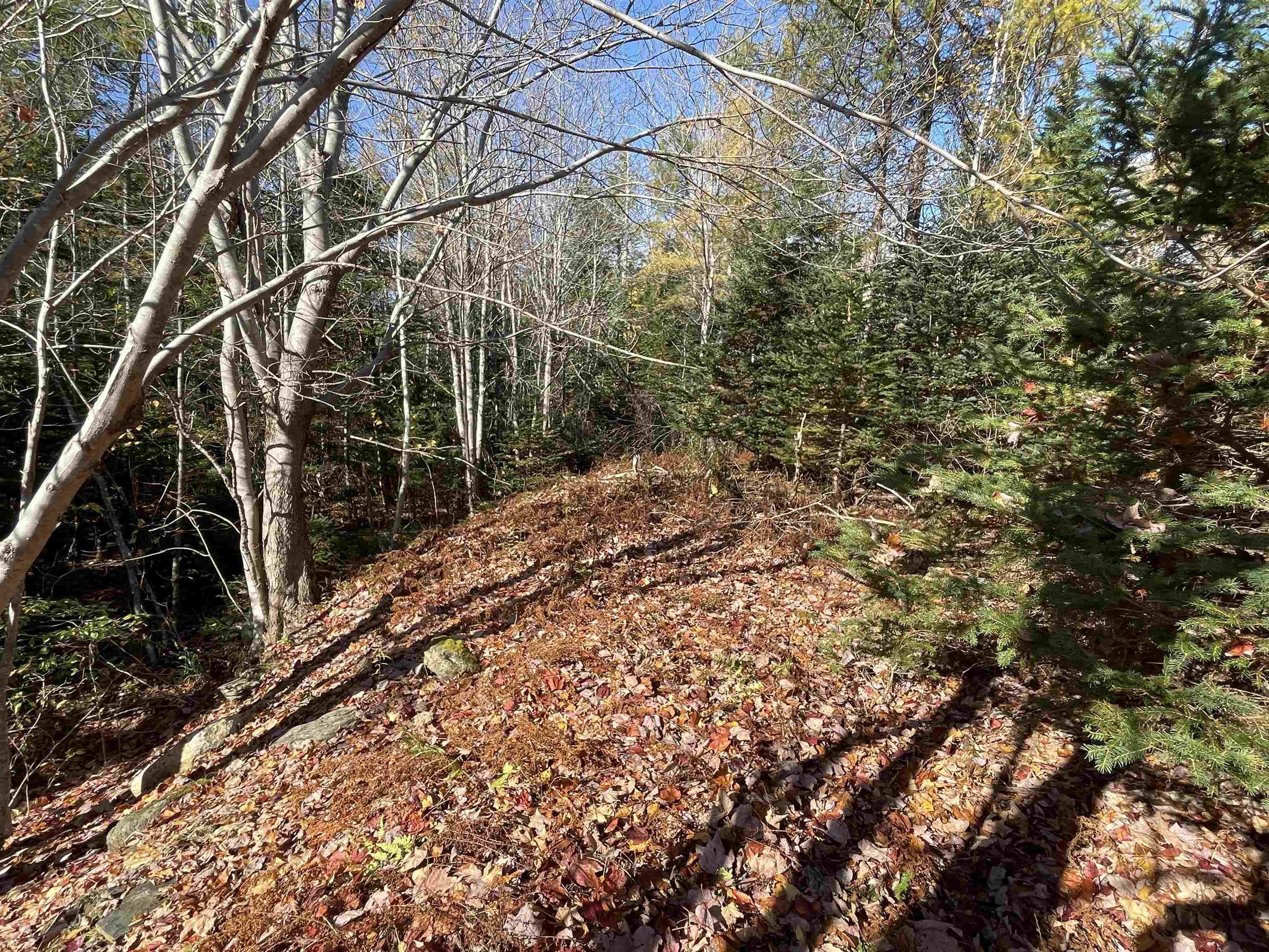 Mosher Road, Conrod Settlement, NS (MLS 202526638)