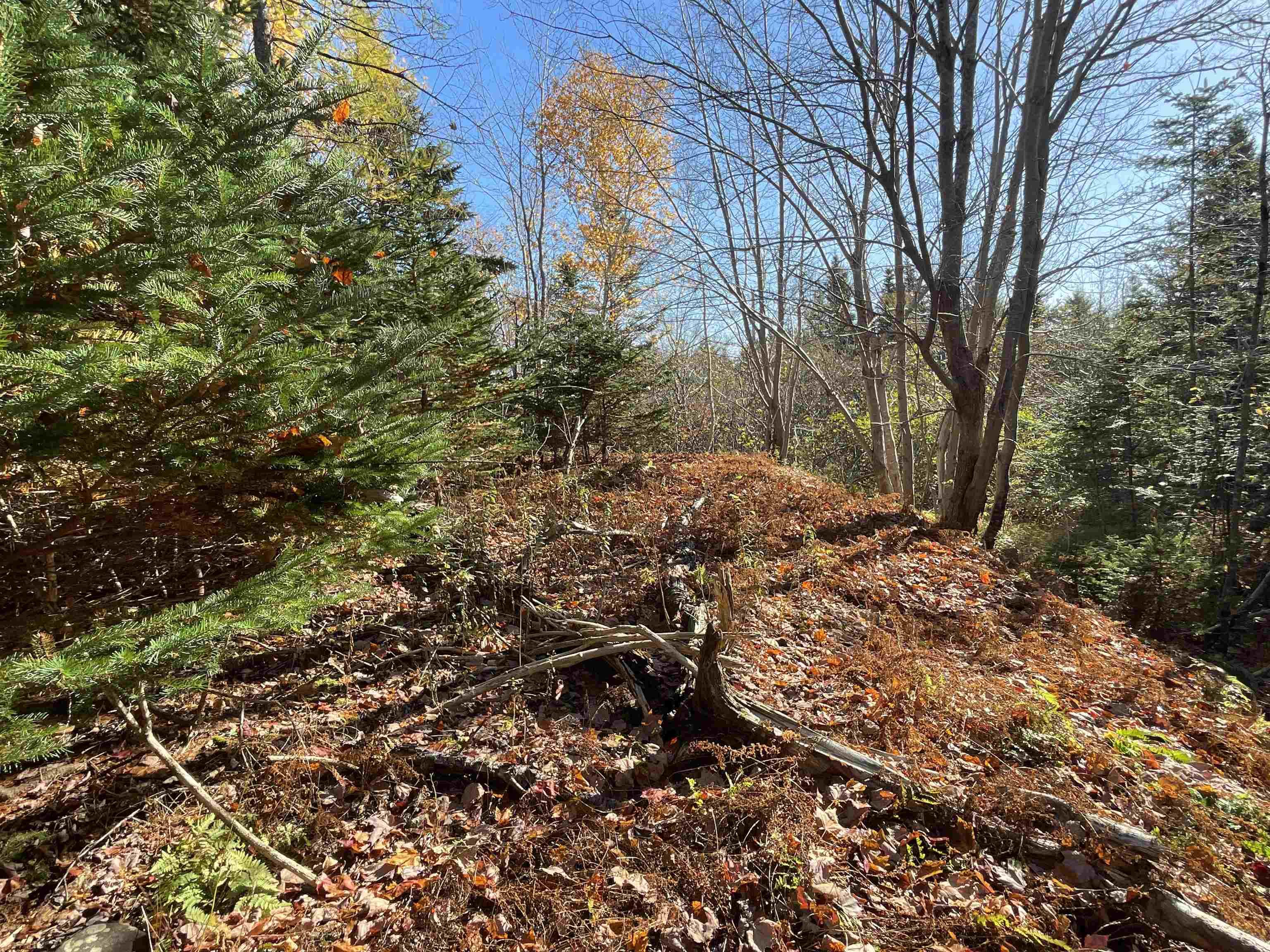 Mosher Road, Conrod Settlement, NS (MLS 202526638)