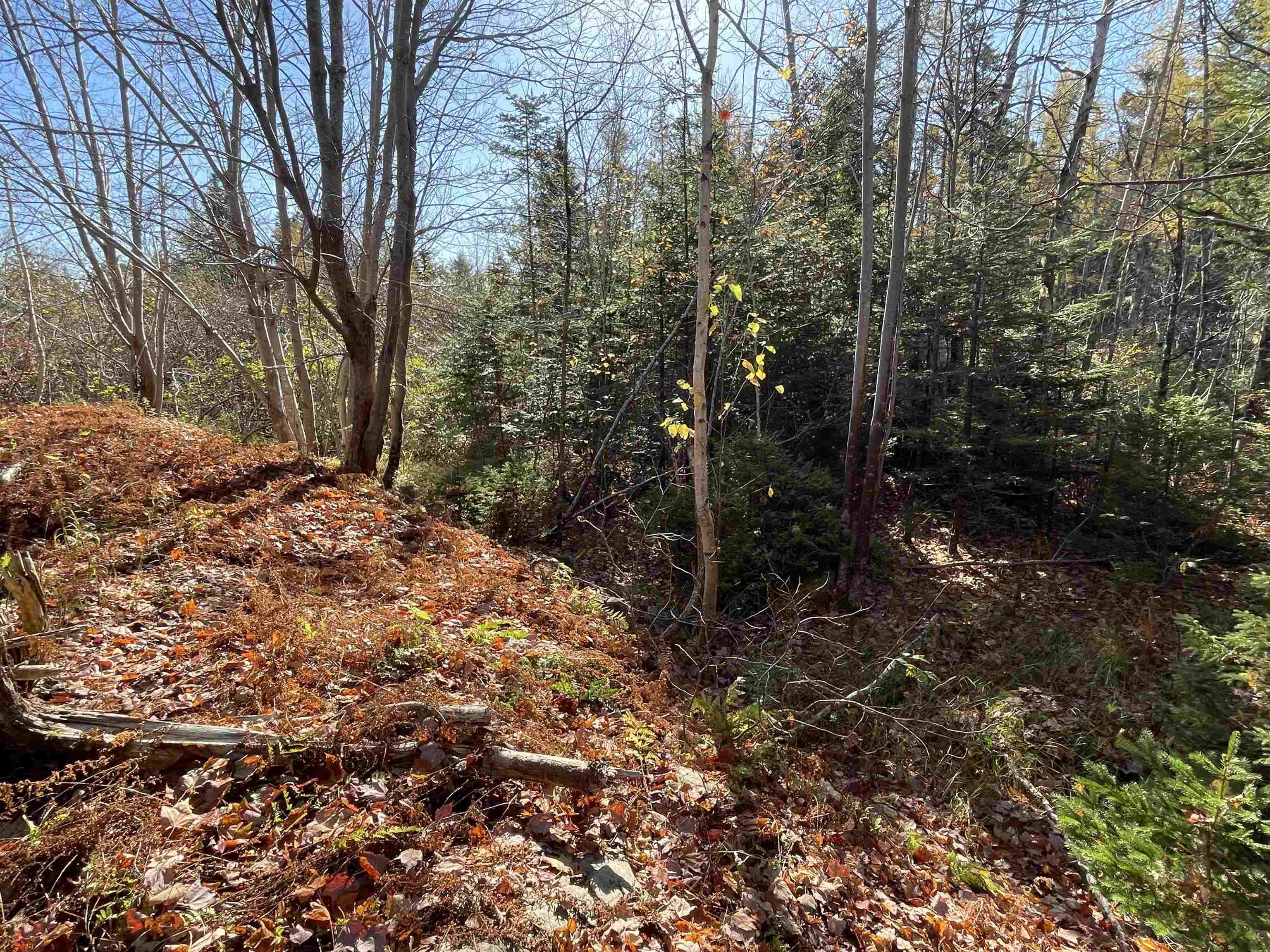 Mosher Road, Conrod Settlement, NS (MLS 202526638)
