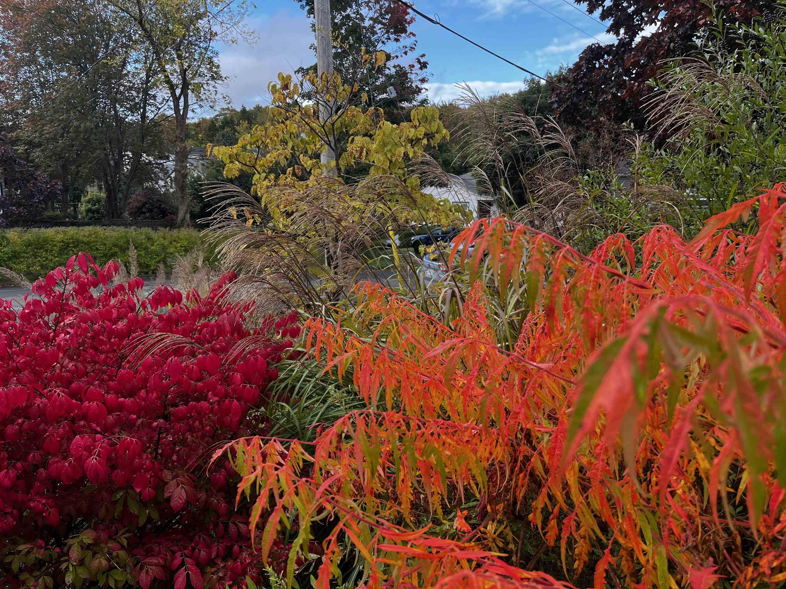 21 Lawnwood Avenue, Halifax, NS (MLS 202526703)