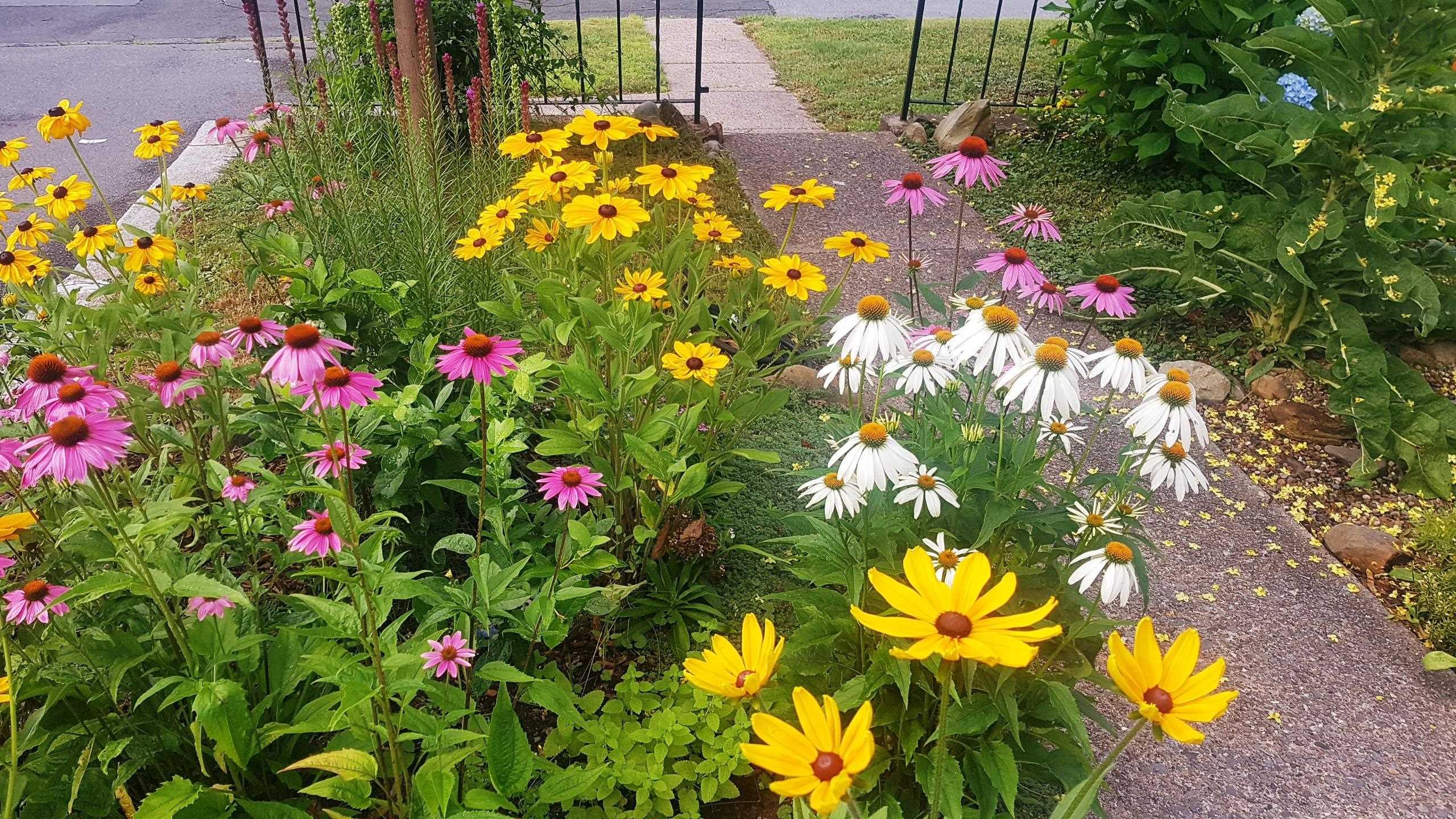 21 Lawnwood Avenue, Halifax, NS (MLS 202526703)