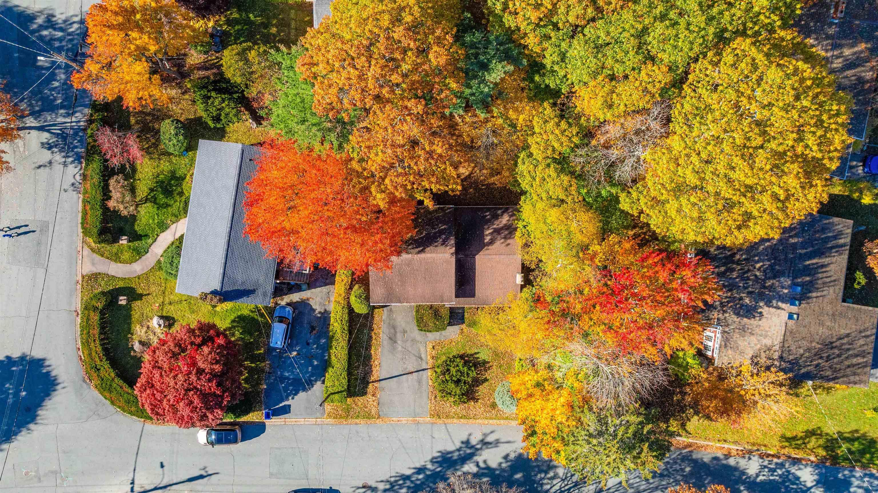 3 Birchview Drive, Halifax, NS (MLS 202526801)