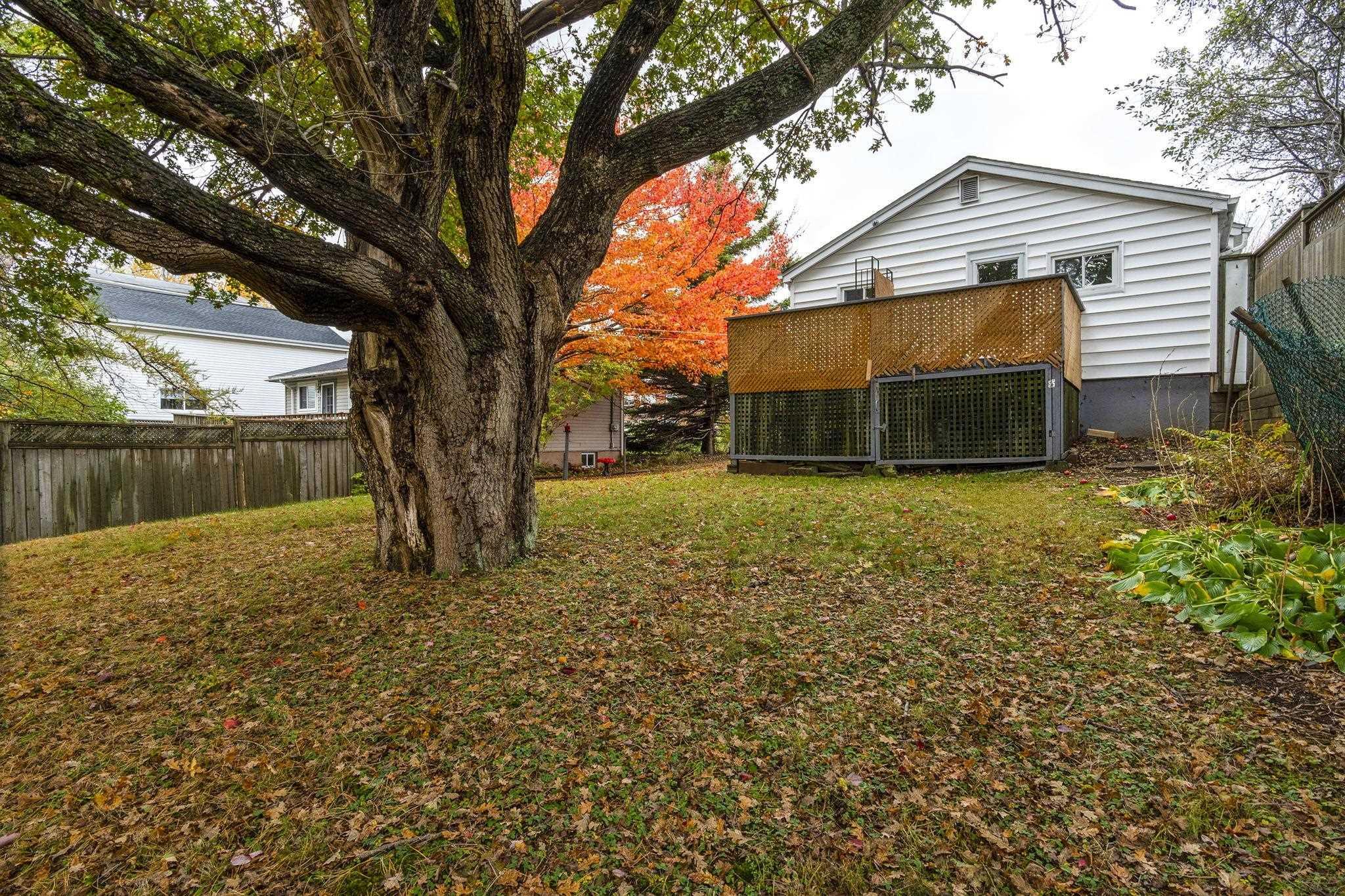 164 Main Avenue, Halifax, NS (MLS 202526860)