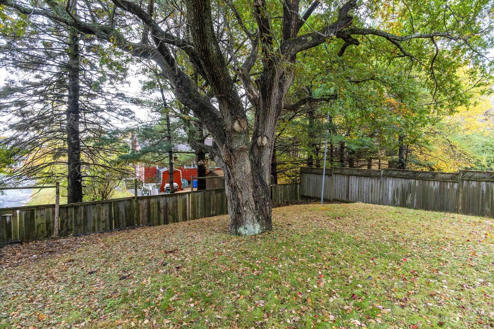 164 Main Avenue, Halifax, NS (MLS 202526860)