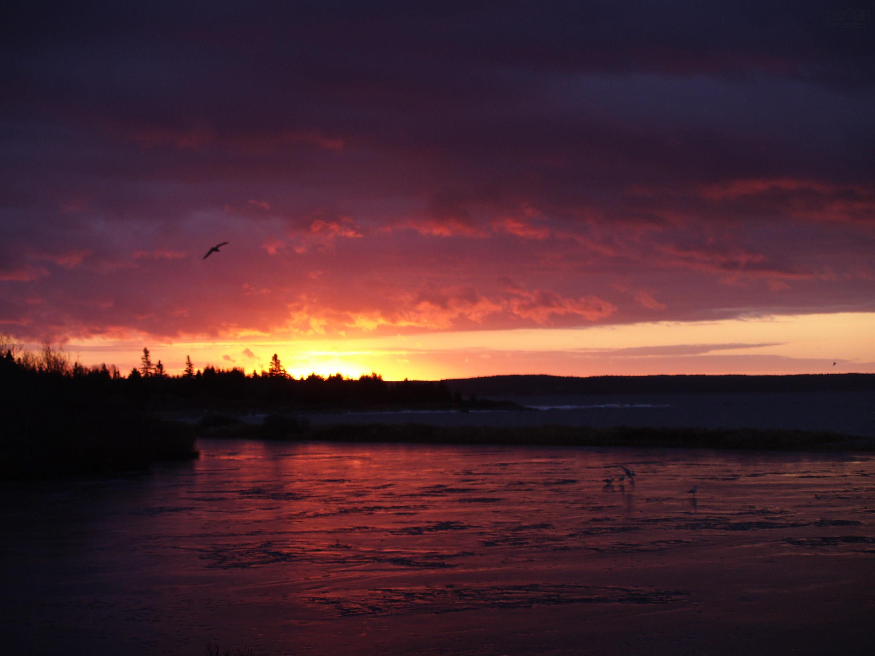 8856 St Margarets Bay Road, Queensland, NS (MLS 202526920)