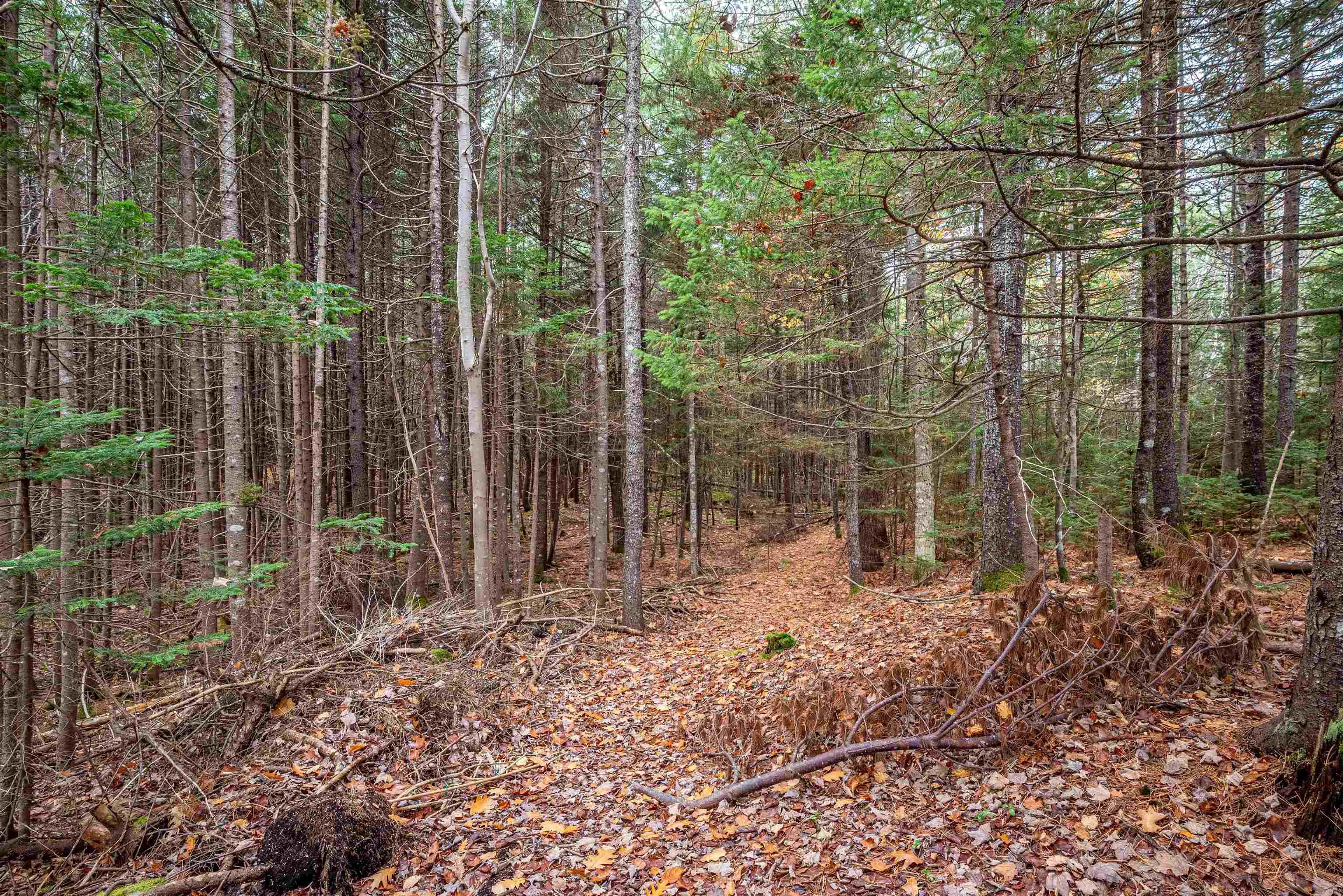 148 Lake Major Road, Westphal, NS (MLS 202526952)