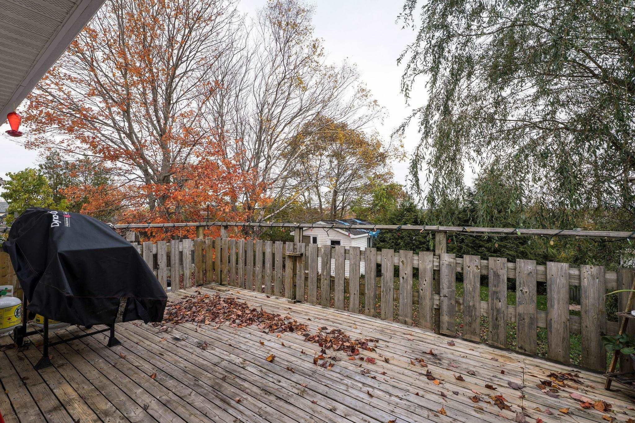 143 Amaranth Crescent, Cole Harbour, NS (MLS 202526962)