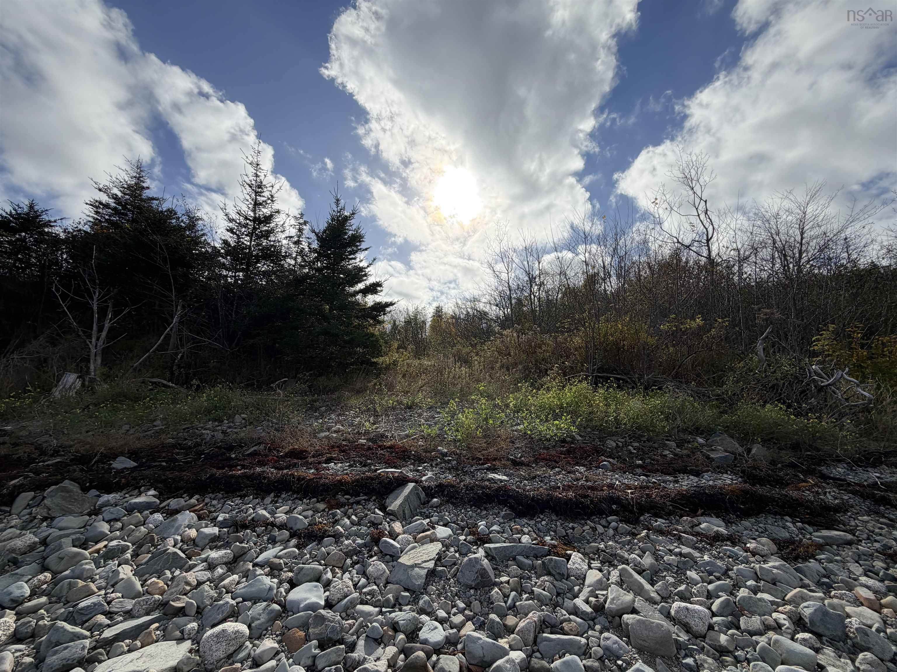 18726 Highway 7, Popes Harbour, NS (MLS 202526987)