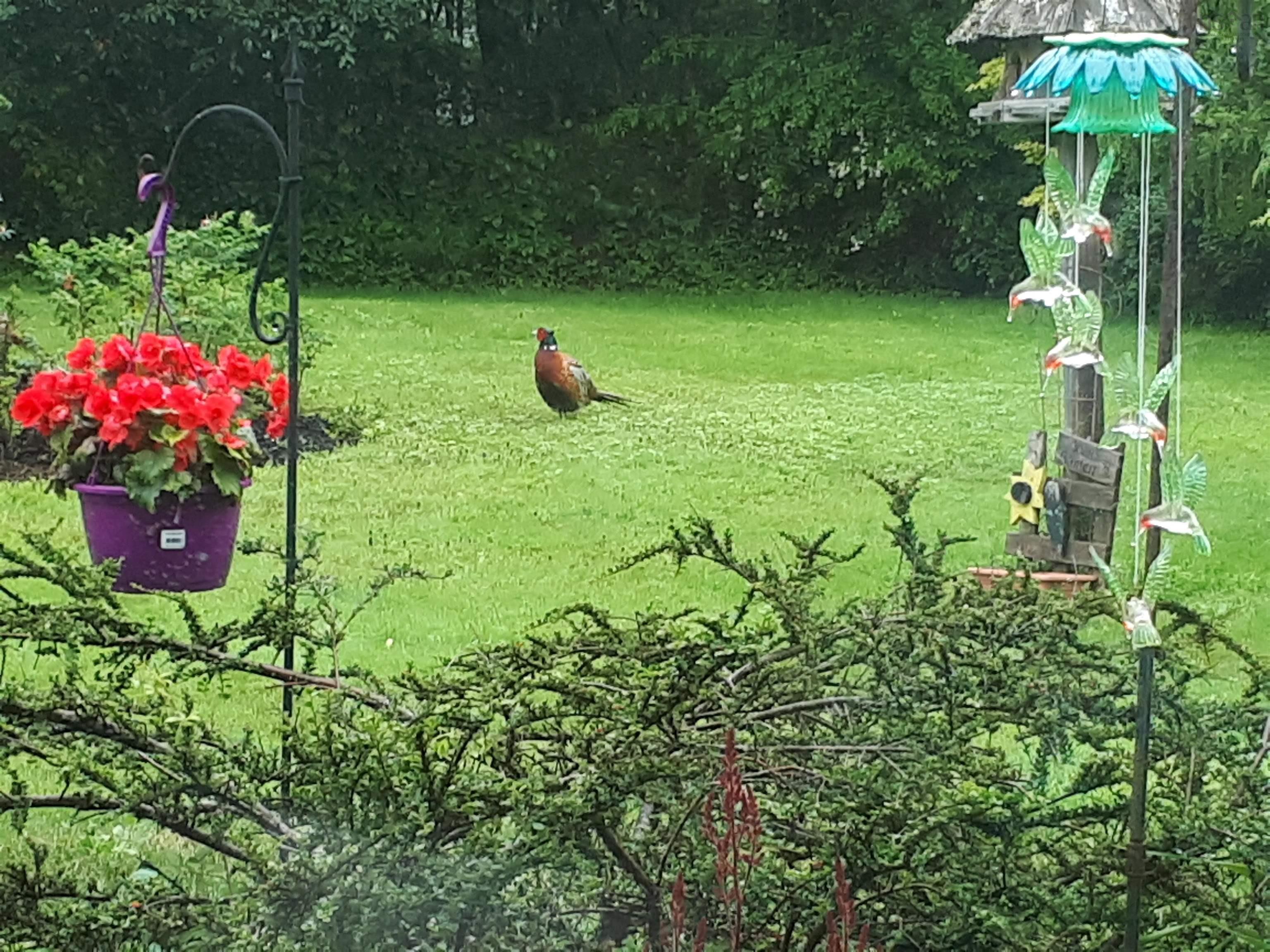 14 Regal Road, Dartmouth, NS (MLS 202526993)