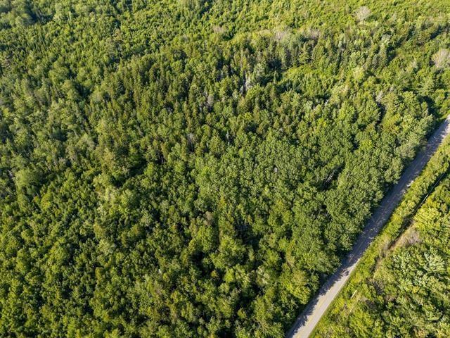 Lot Hectanooga Road, Hectanooga, NS (MLS 202527120)