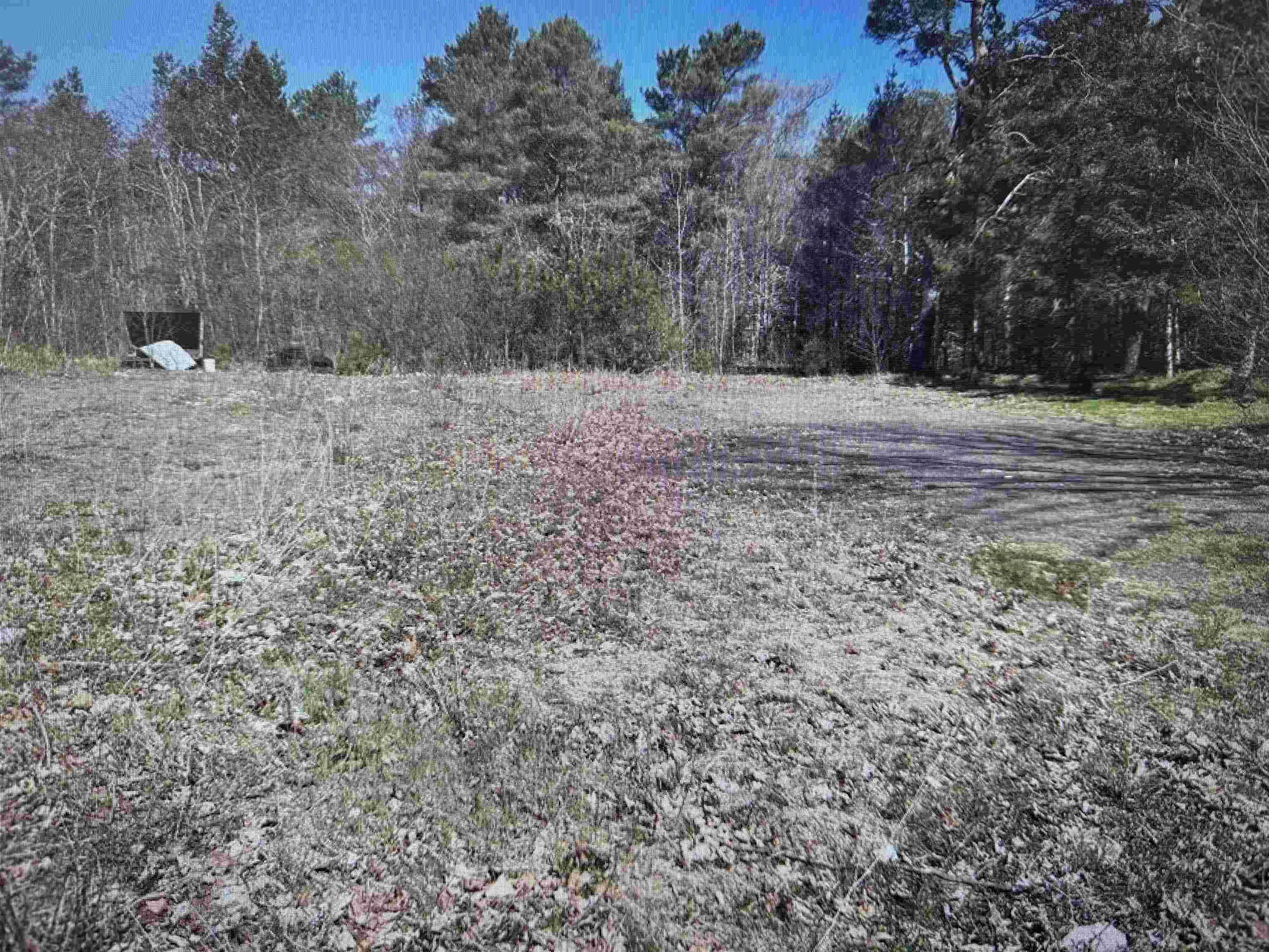 Lot 2b Main Street, Kingston, NS (MLS® 202527124)