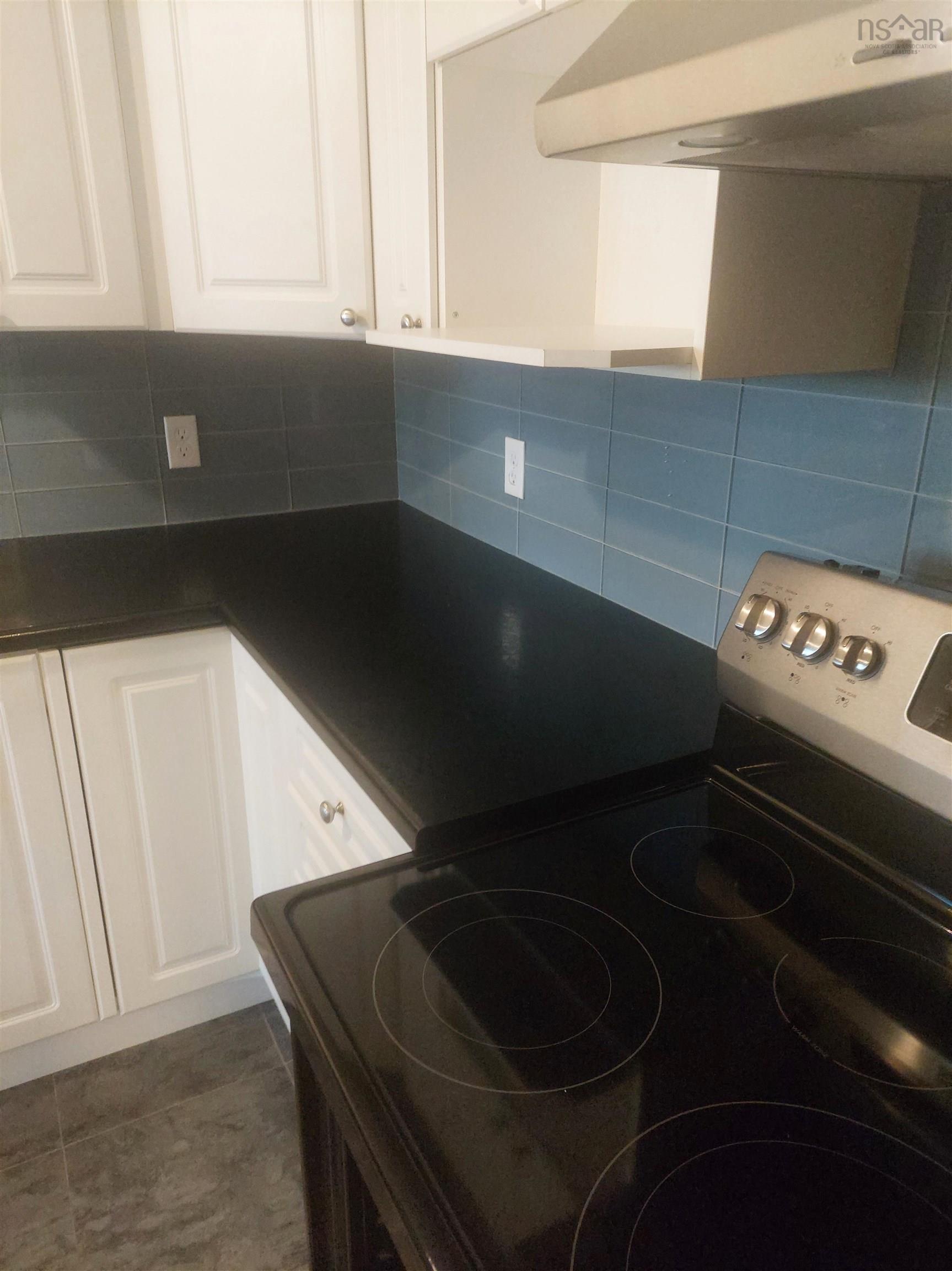 105 168 Green Village Lane, Dartmouth, NS (MLS 202527137)