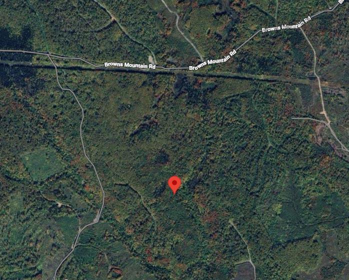 73 Acres Browns Mountain Road, Browns Mountain, Browns Mountain, NS (MLS® 202527210)
