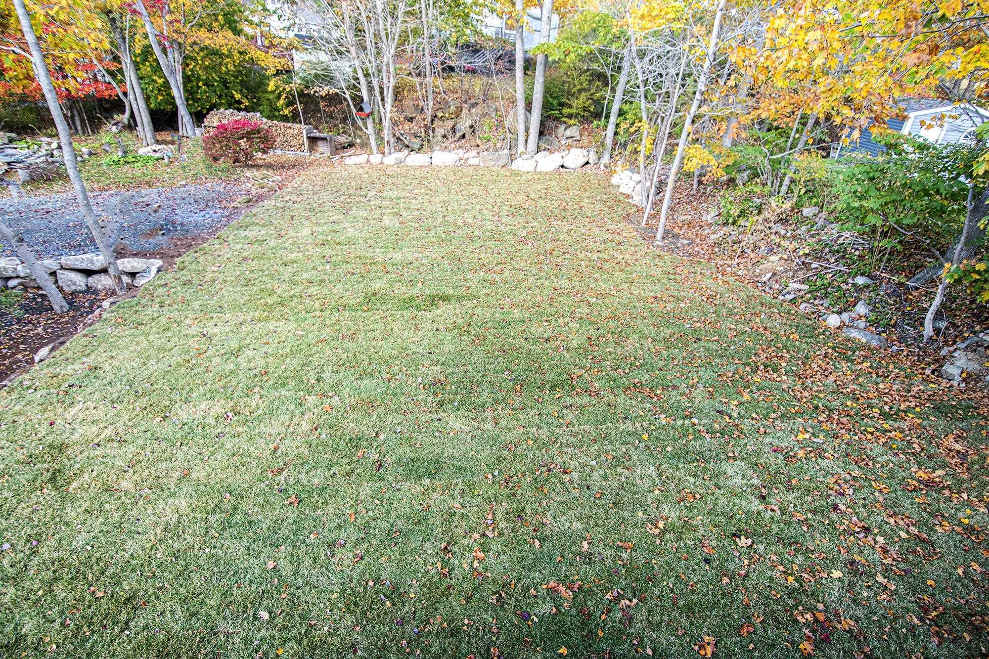 25a/B Spry Avenue, Spryfield, NS (MLS 202527264)