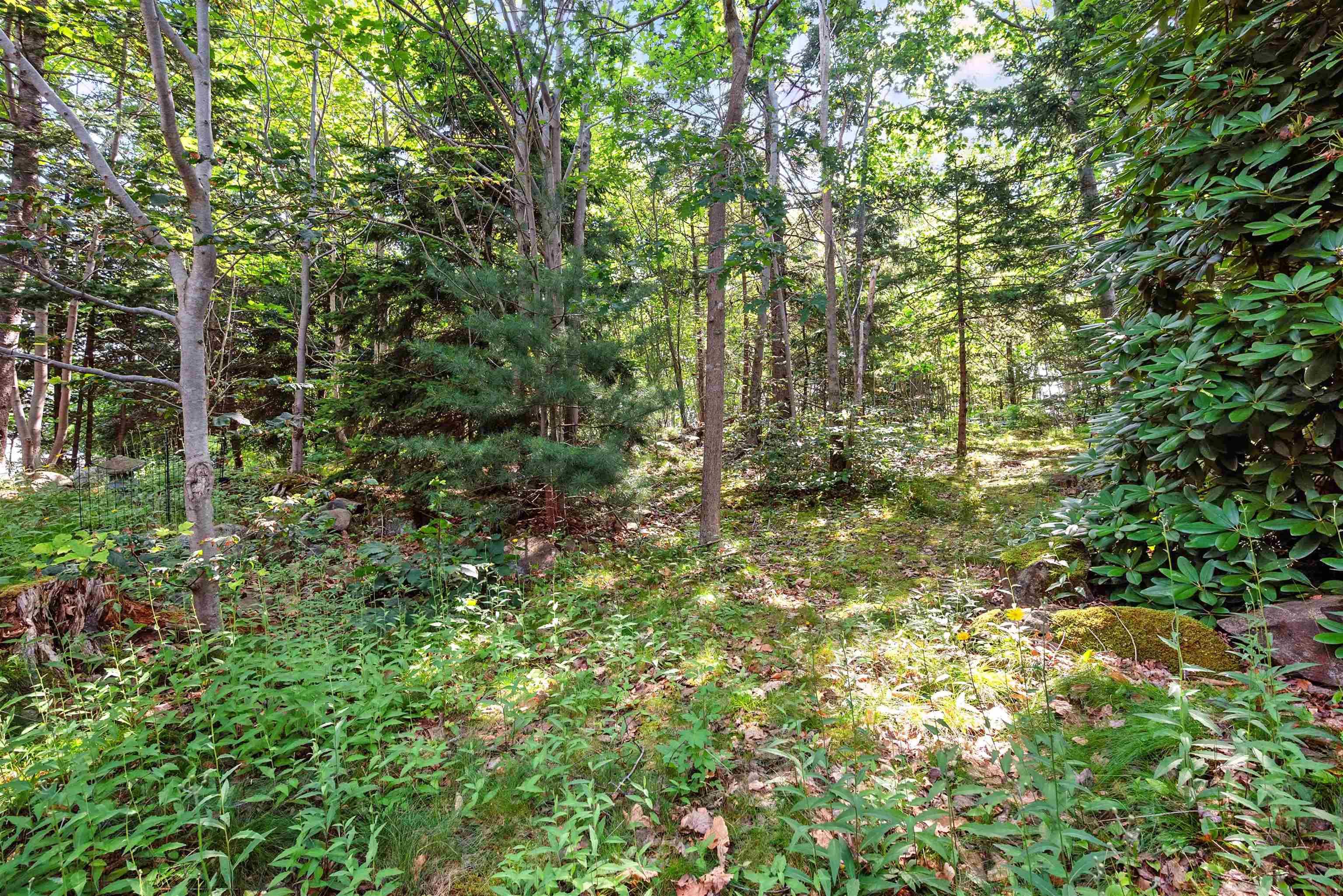 221 Spinnaker Drive, Halifax Peninsula, NS (MLS 202527312)