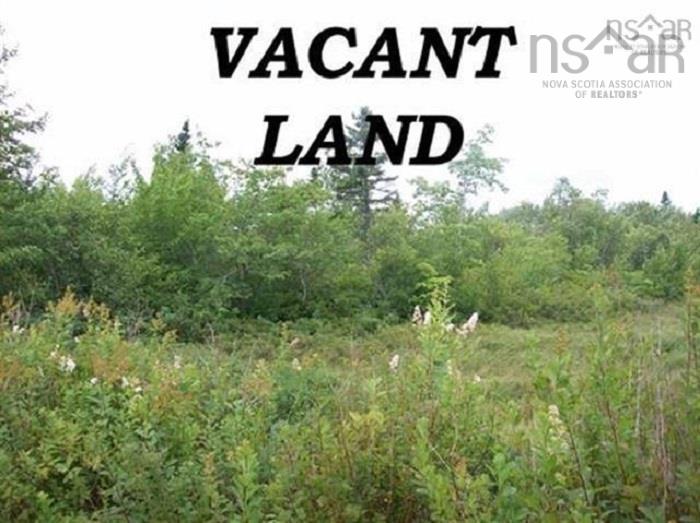 Lot Pid#80083751 Shore Road, North East Harbour, NS (MLS 202527416)