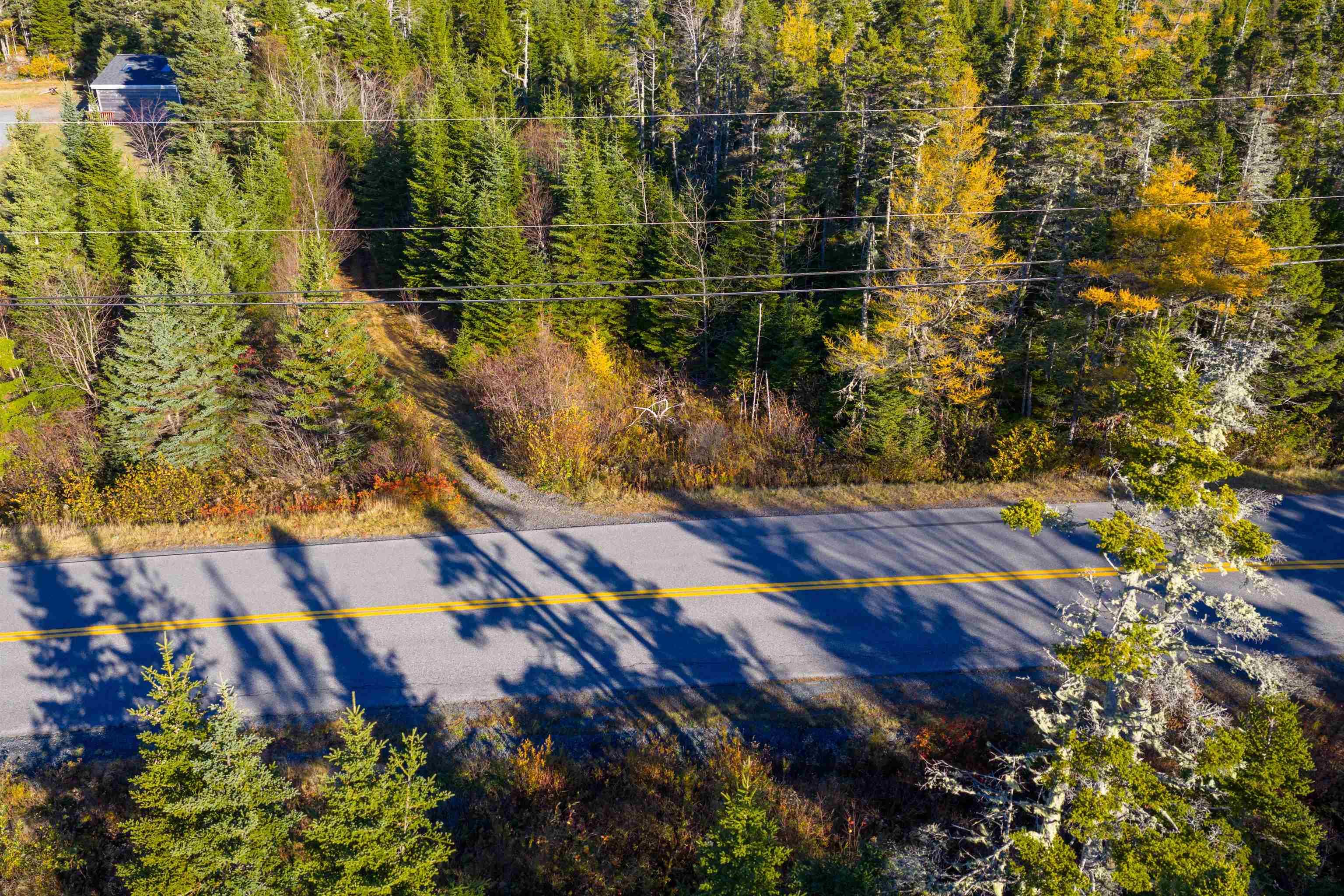 1161 East Cheezetcook Road, East Chezzetcook, NS (MLS 202527430)