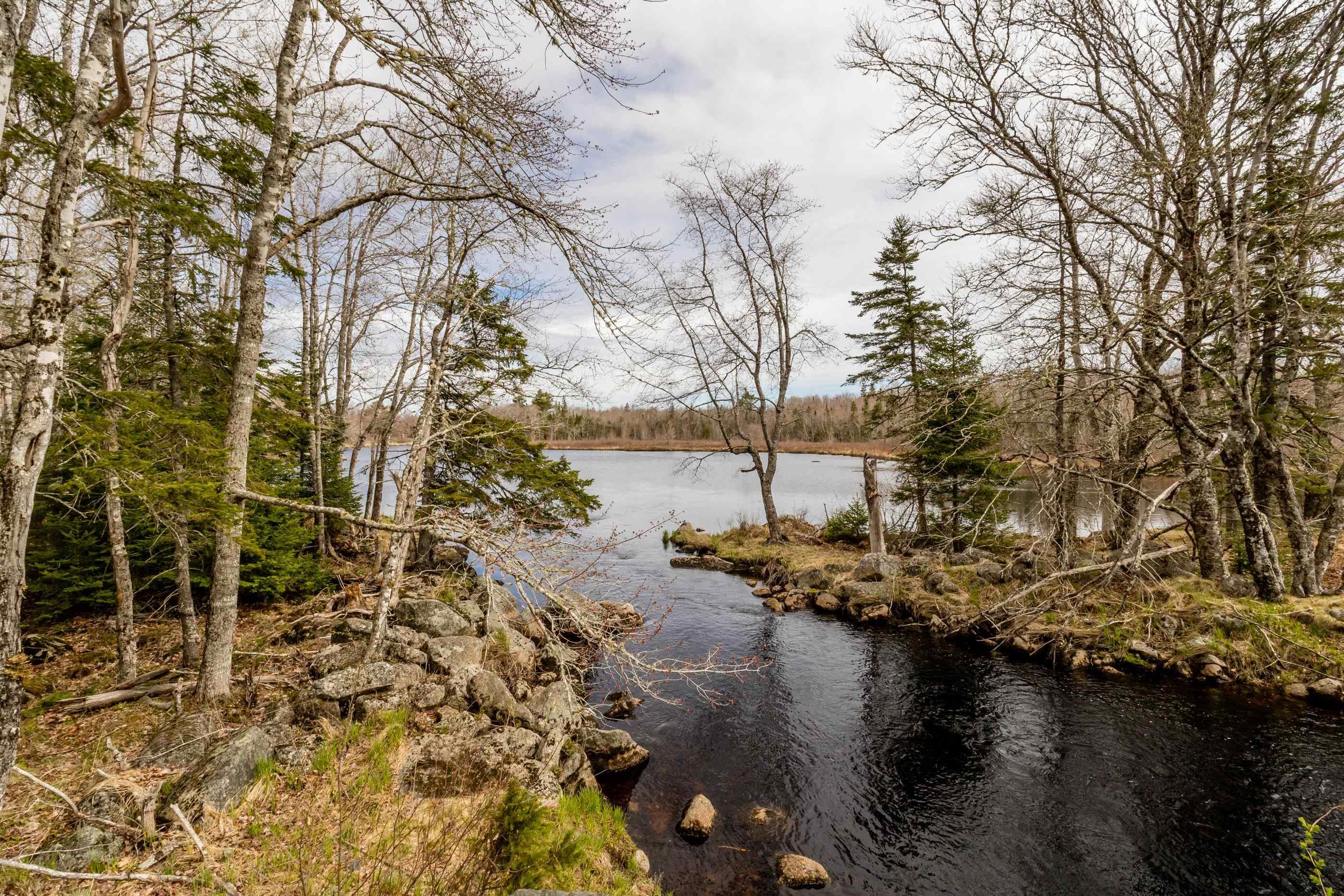 Lot 2021 Butler Road, Murphy Lake, NS (MLS® 202527586)