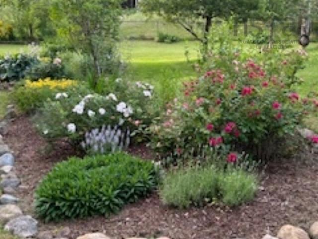 55 Hardisty Court, Colby Village, NS (MLS 202527706)