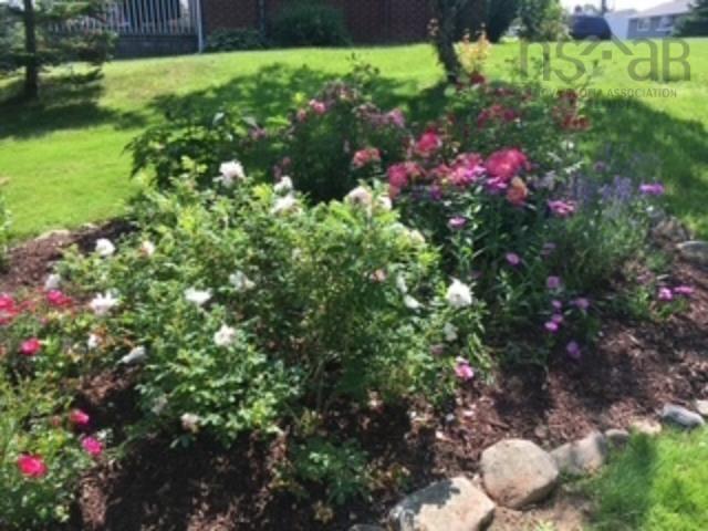 55 Hardisty Court, Colby Village, NS (MLS 202527706)