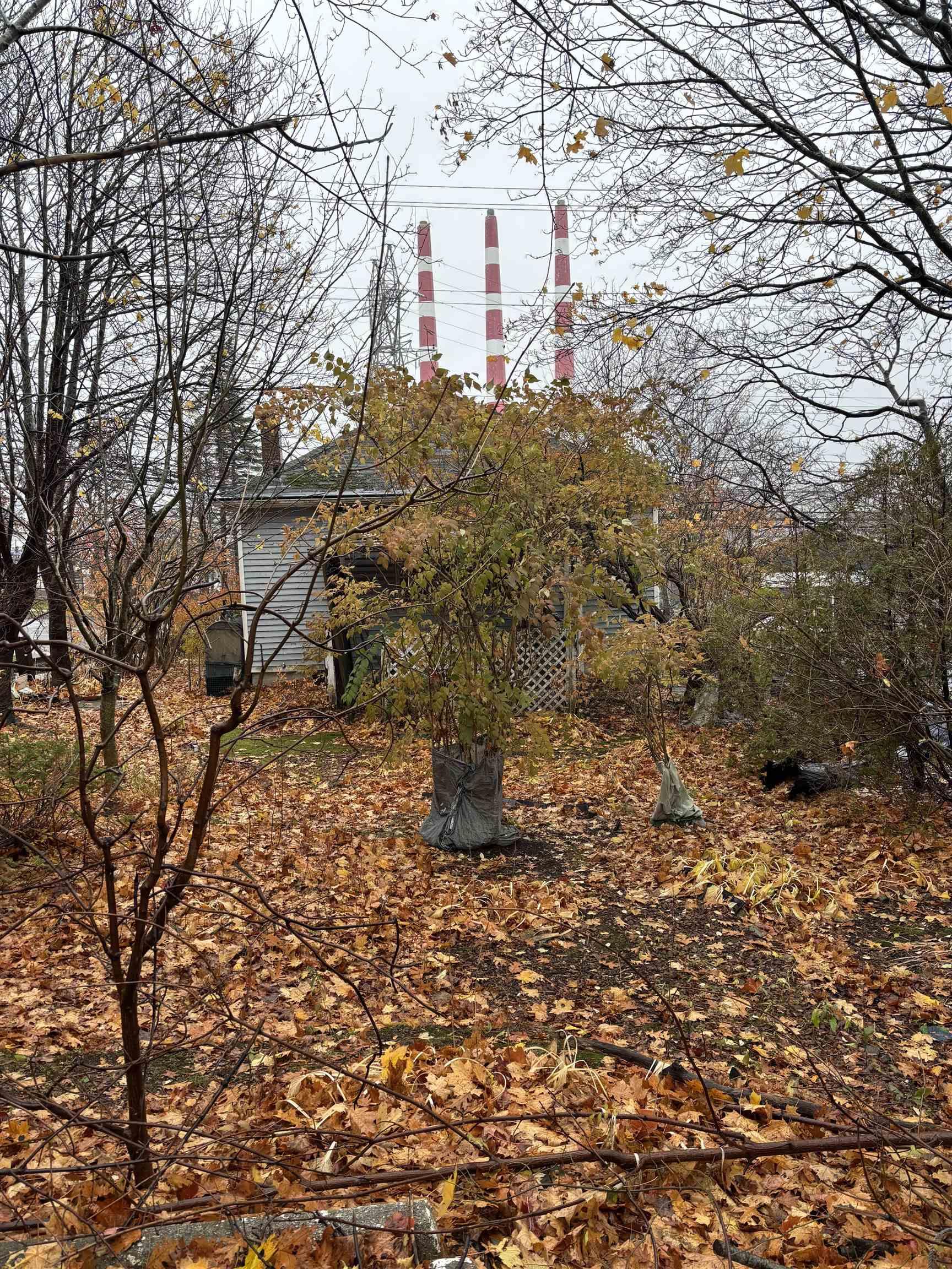 324 Windmill Road, Dartmouth, NS (MLS 202527709)