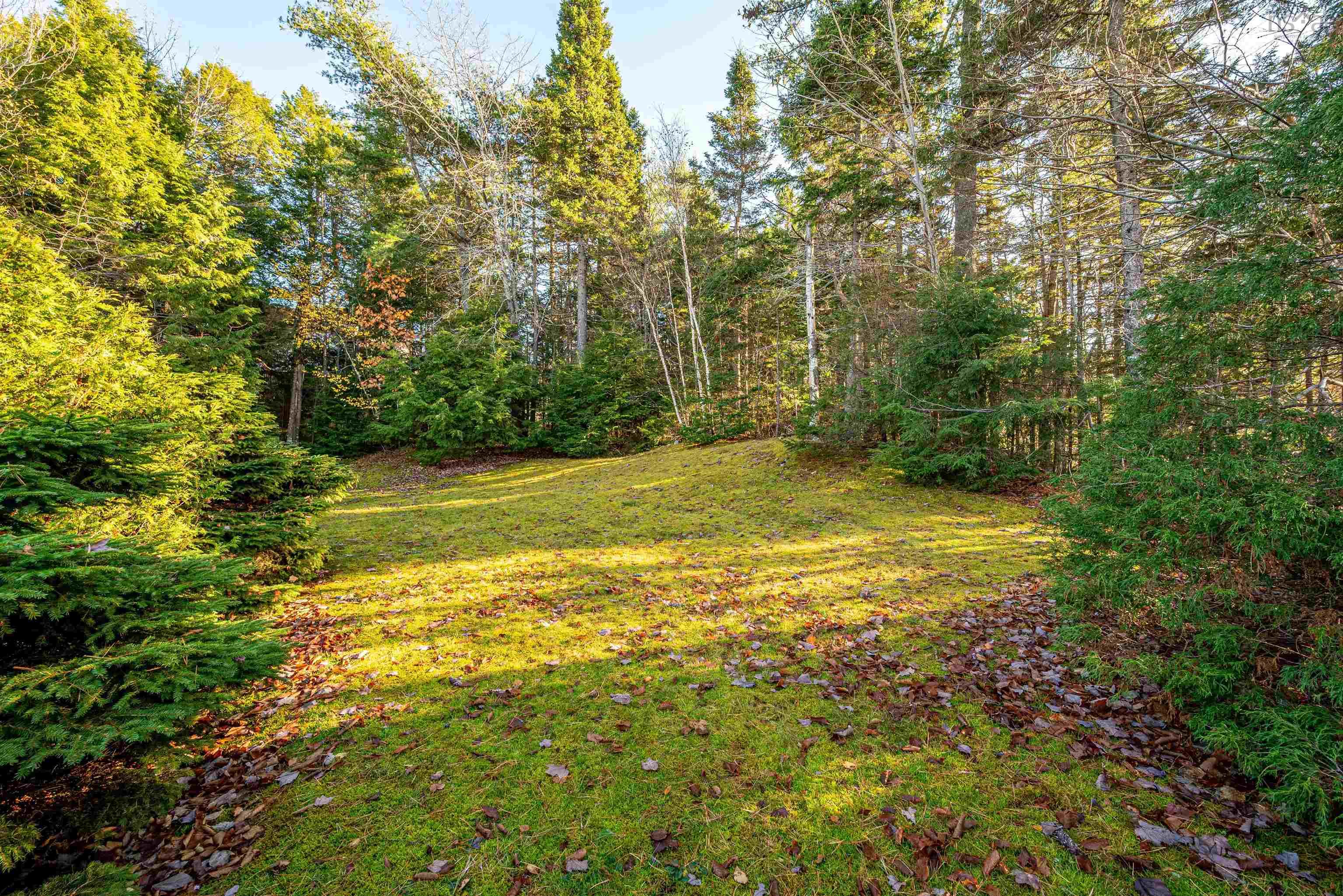 61 French Masts Lane, Bedford, NS (MLS 202527770)
