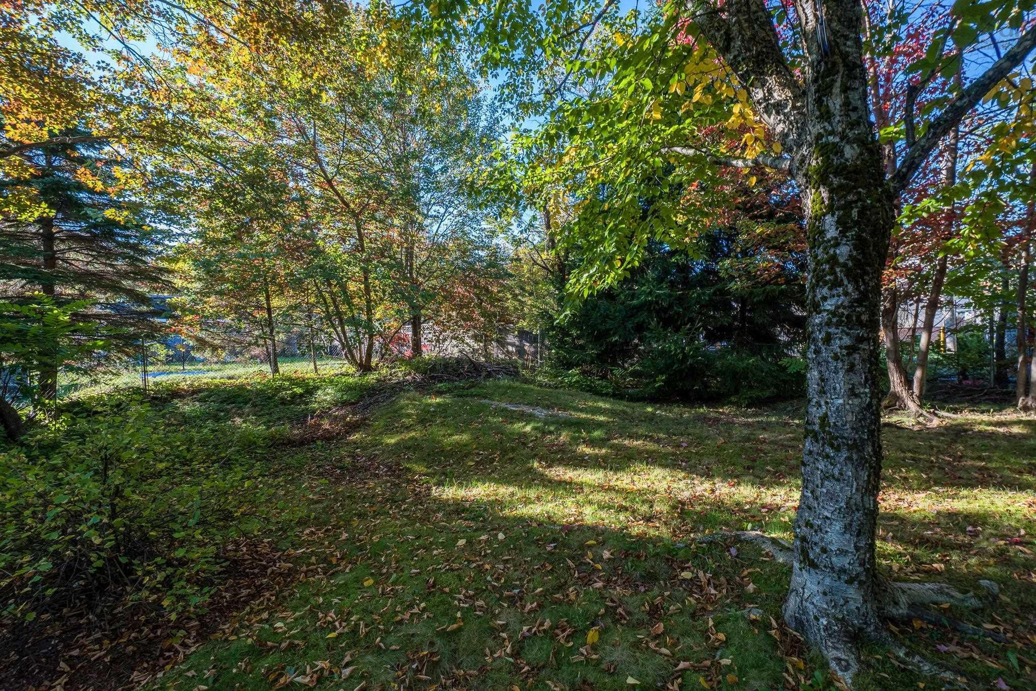 13 River Road, Halifax, NS (MLS 202527794)