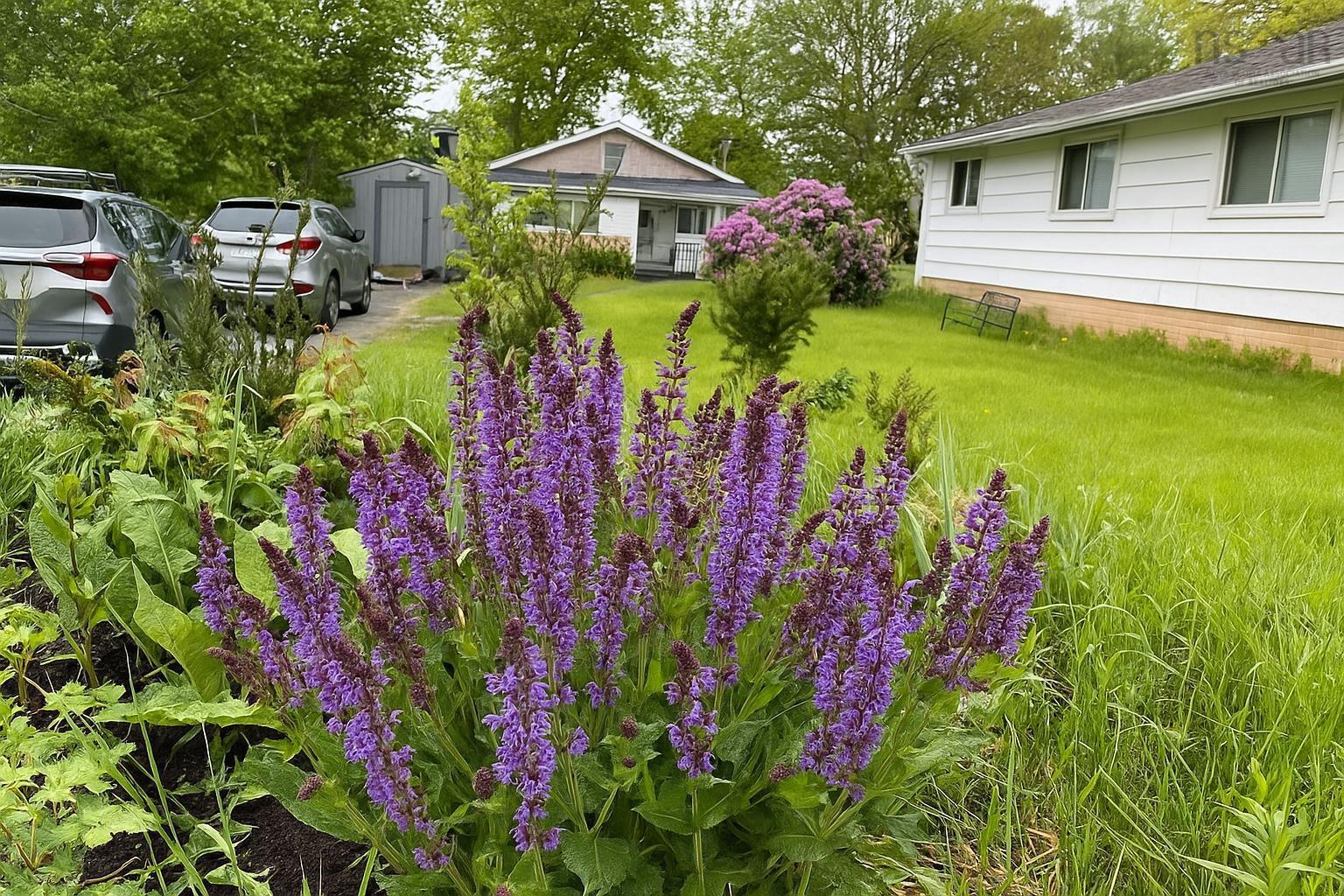 44 Courtney Road, Dartmouth, NS (MLS 202527844)