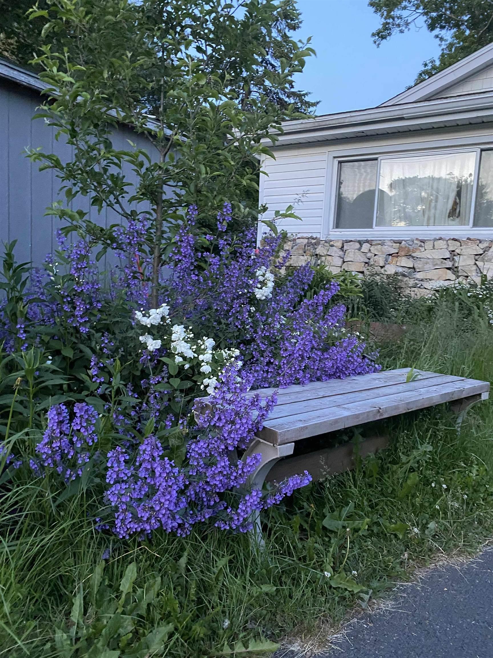 44 Courtney Road, Dartmouth, NS (MLS 202527844)