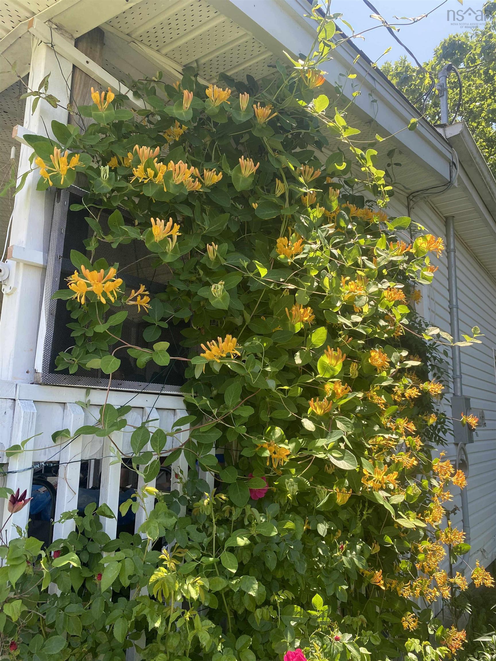 44 Courtney Road, Dartmouth, NS (MLS 202527844)