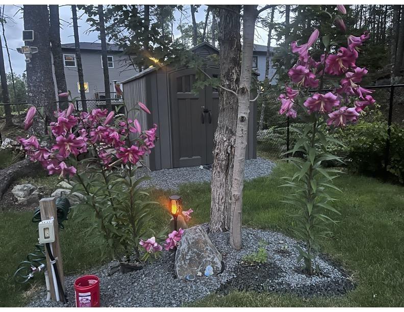 139 Lewis Drive, Bedford, NS (MLS 202527945)