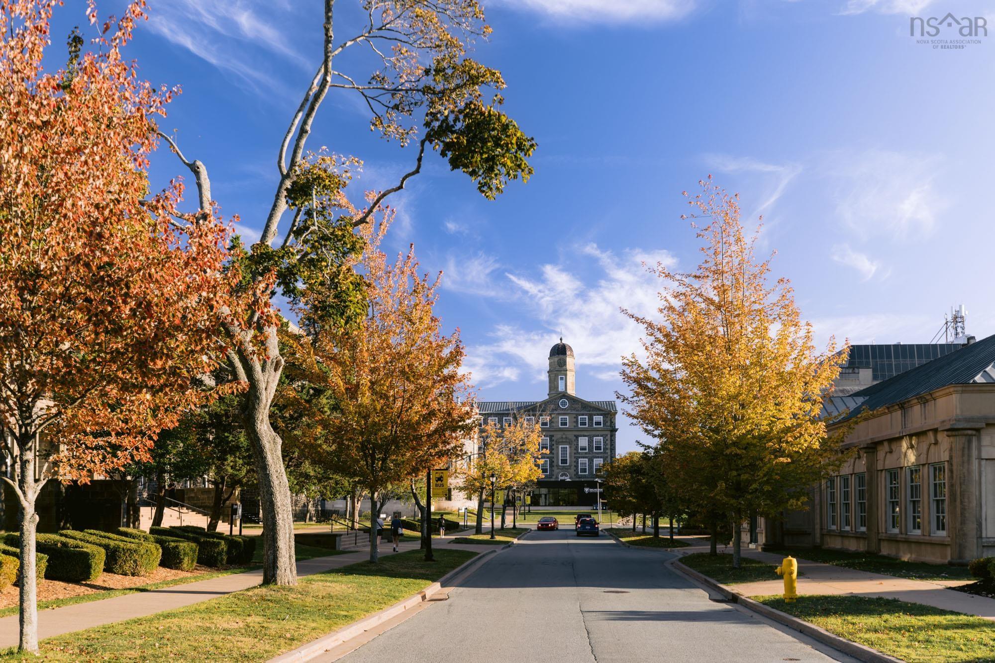 202 6369 Coburg Road, Halifax, NS (MLS 202527997)