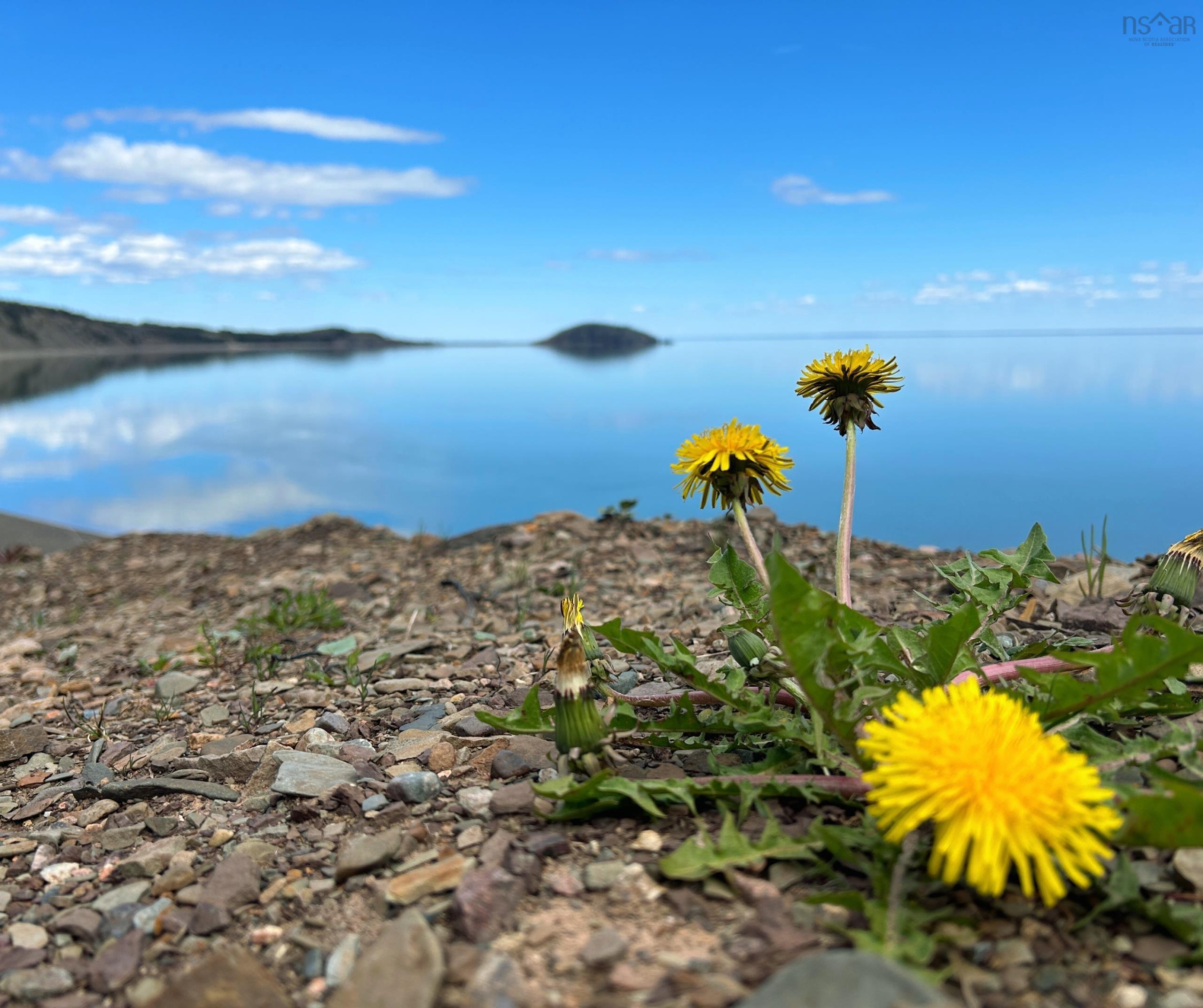 $45,000.00: Lot 4 West Bay Drive, West Bay