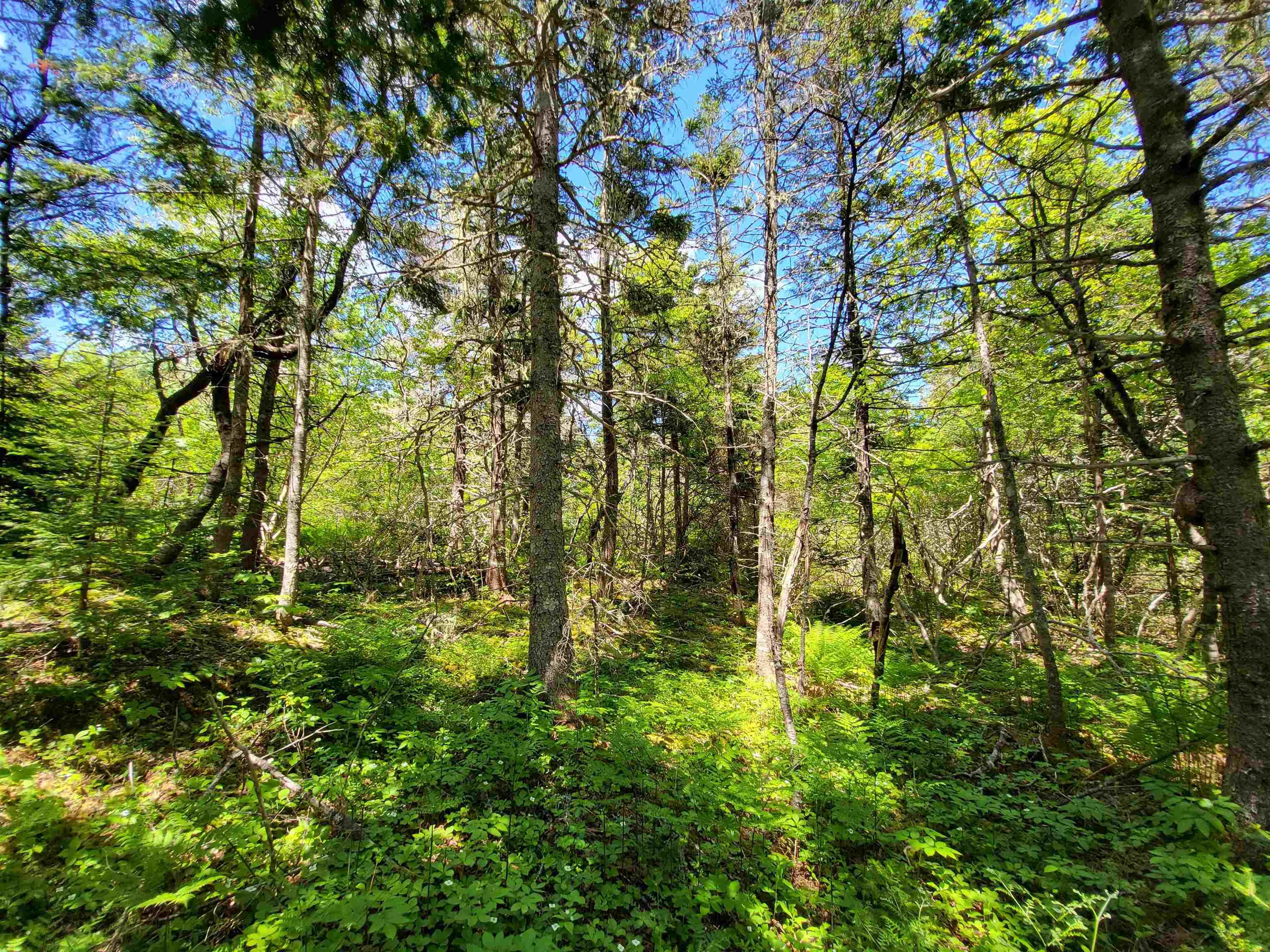 $59,900.00: C4 & C5 Everetts Way, Hunts Point
