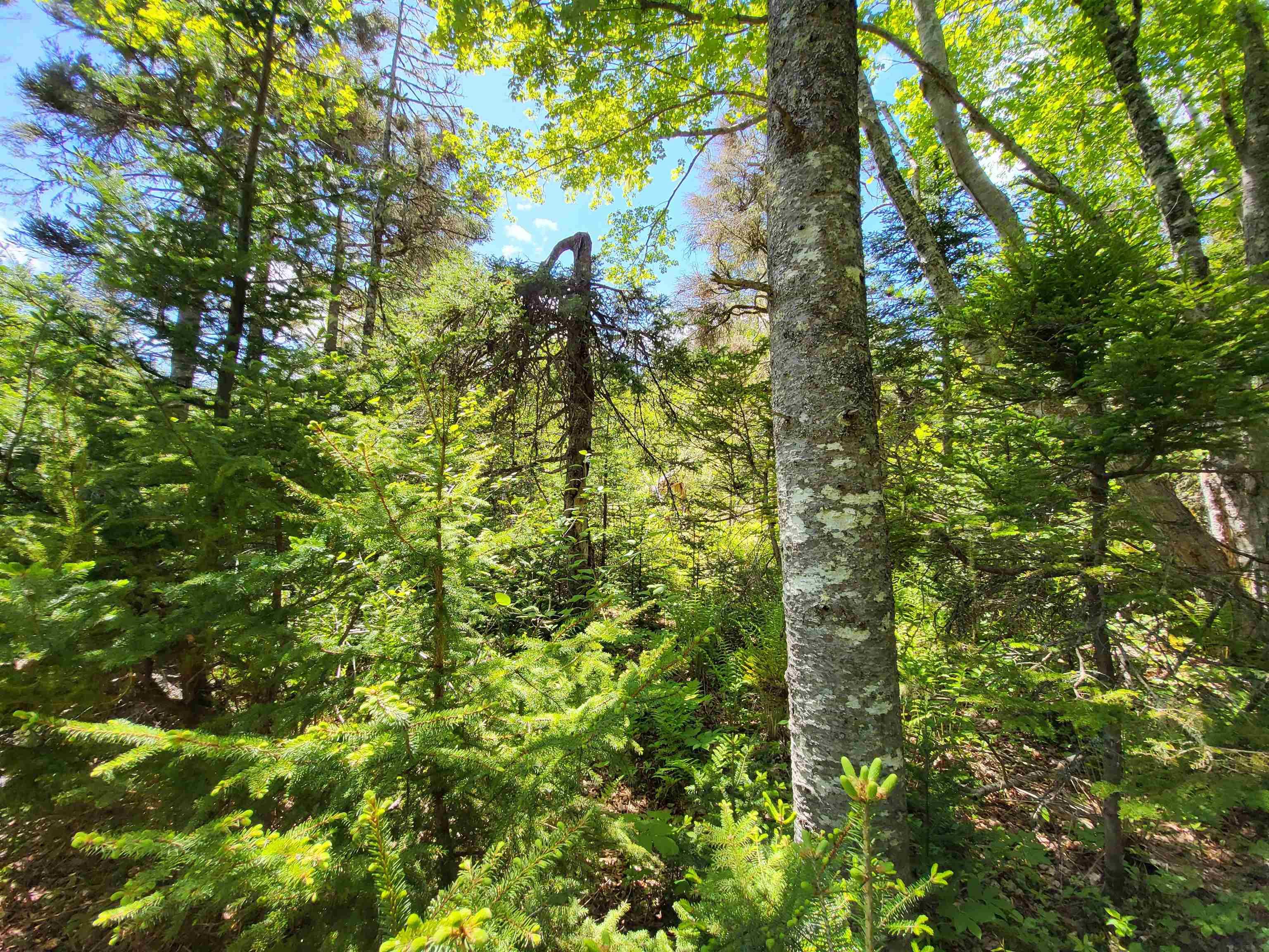 $59,900.00: C4 & C5 Everetts Way, Hunts Point