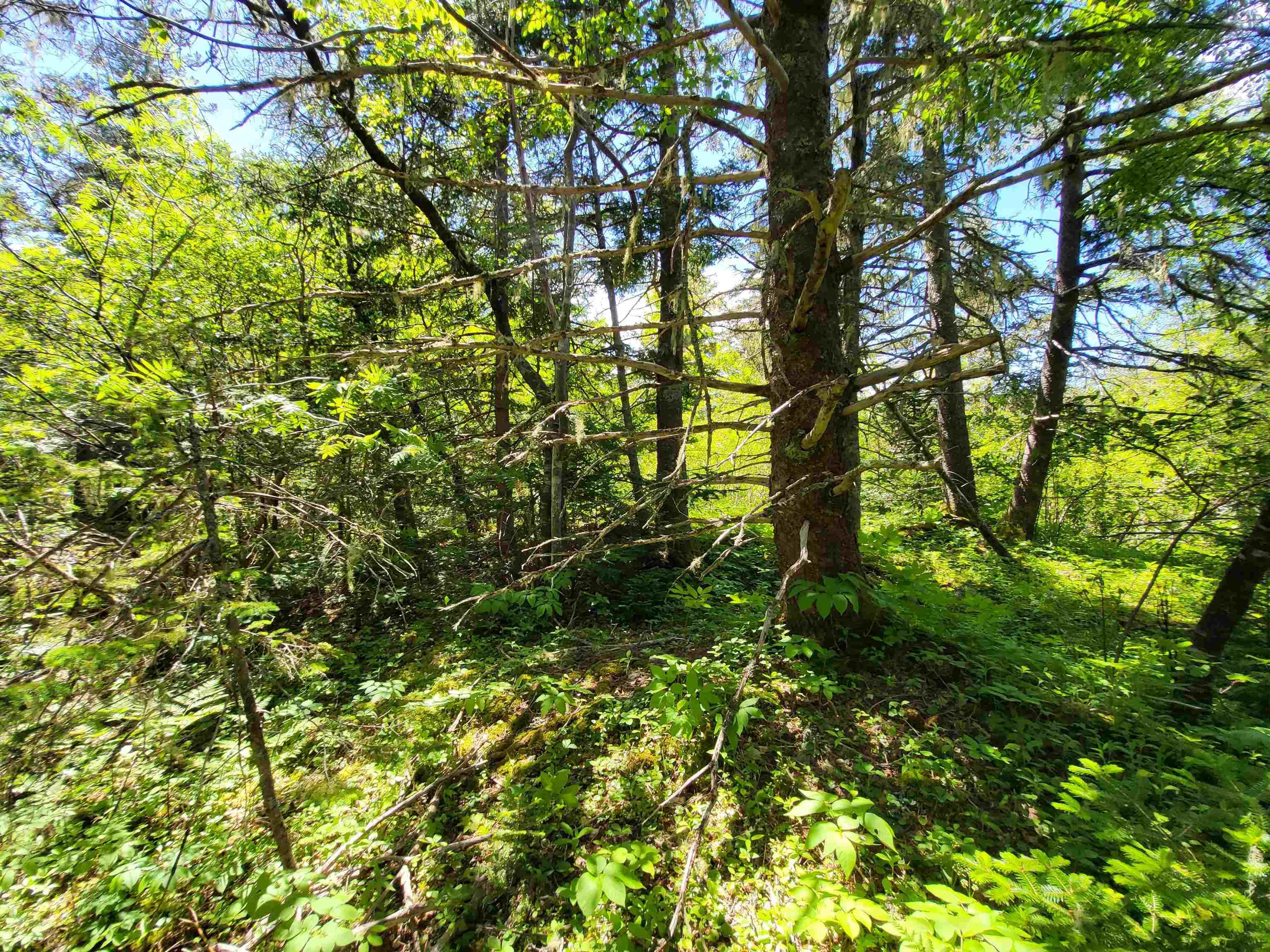 $59,900.00: C4 & C5 Everetts Way, Hunts Point