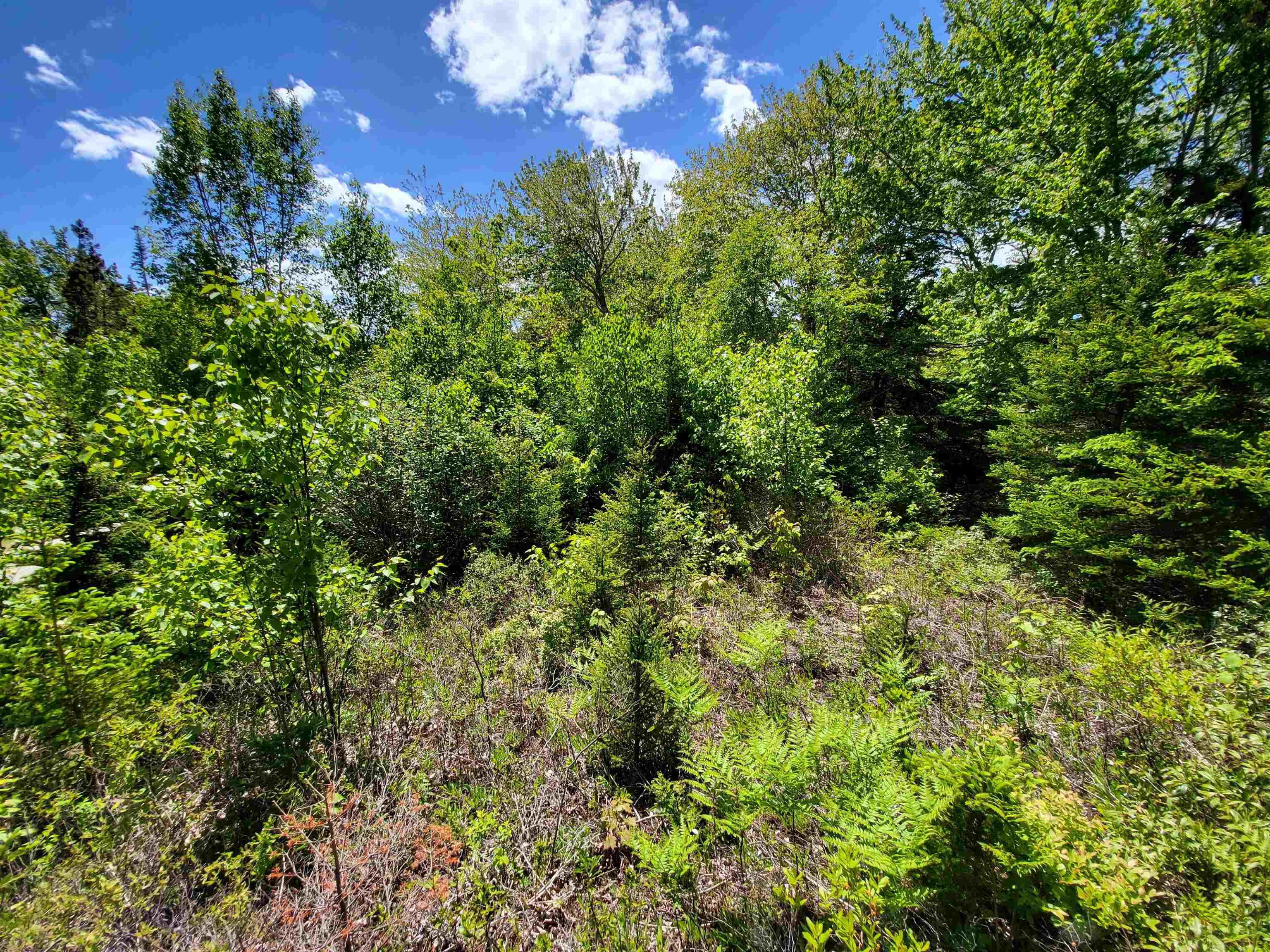 $59,900.00: C4 & C5 Everetts Way, Hunts Point