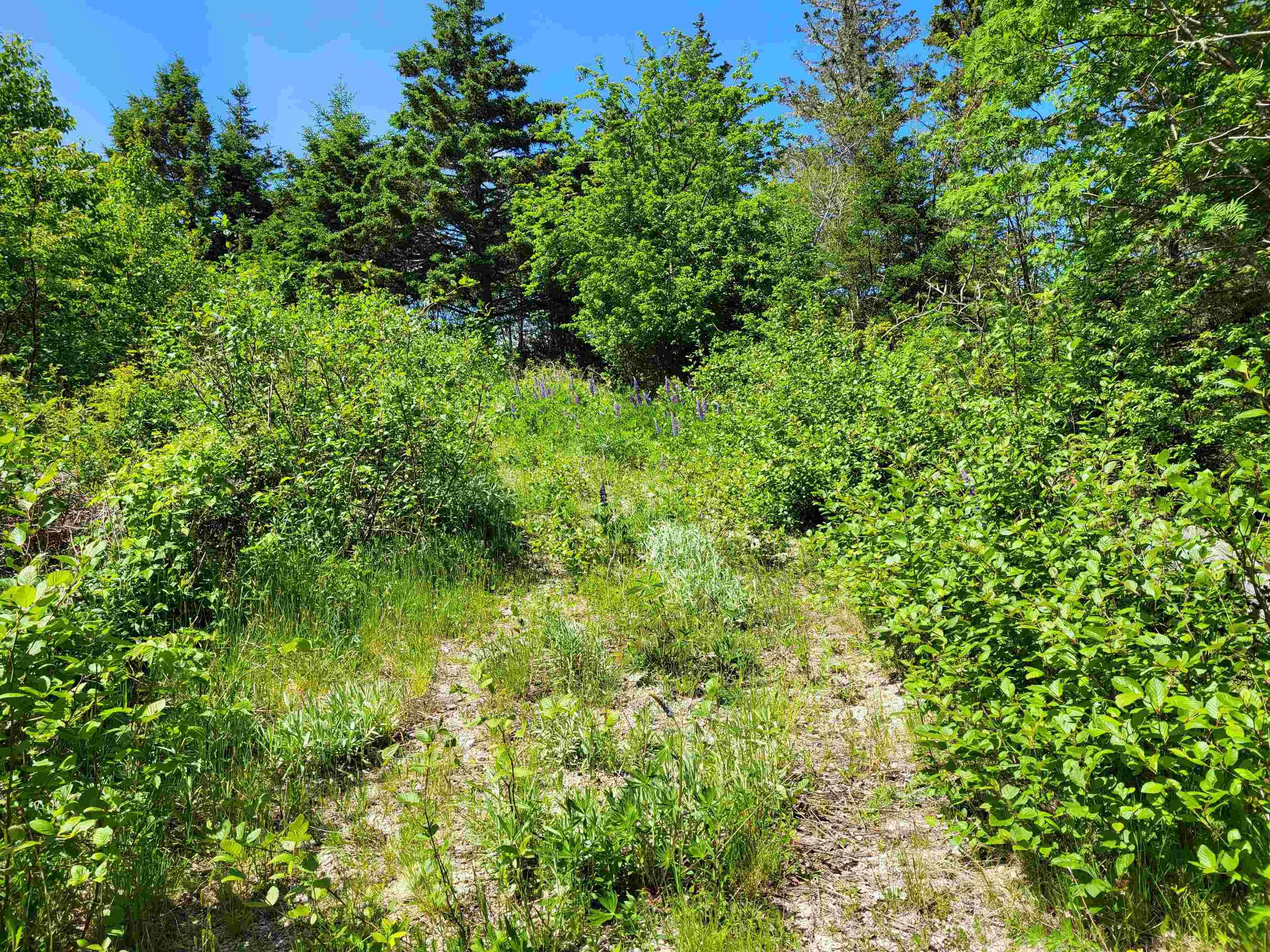 $59,900.00: C4 & C5 Everetts Way, Hunts Point