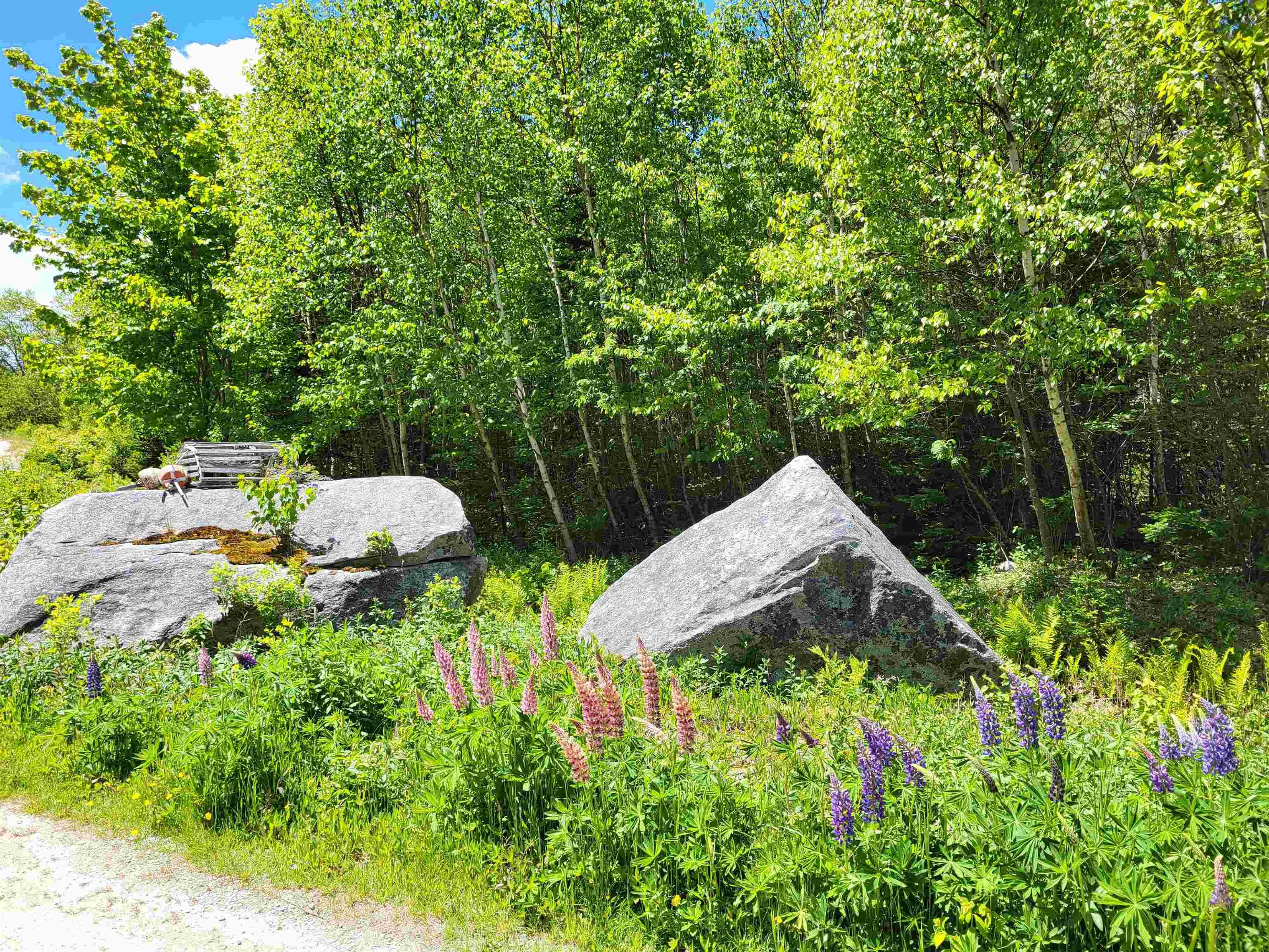 $59,900.00: C4 & C5 Everetts Way, Hunts Point