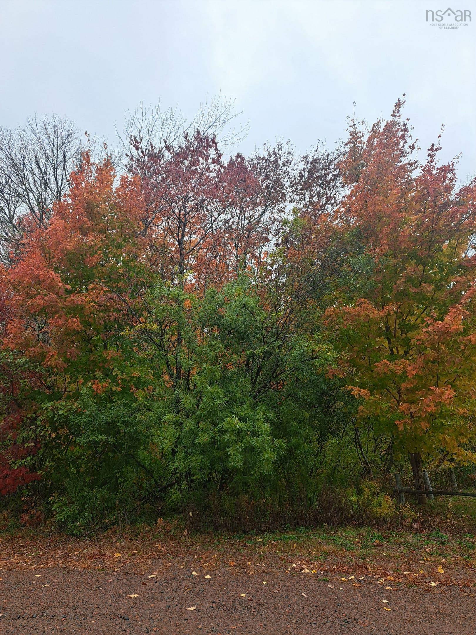 9 Miller Court, Wentworth Valley, NS (MLS 202528127)